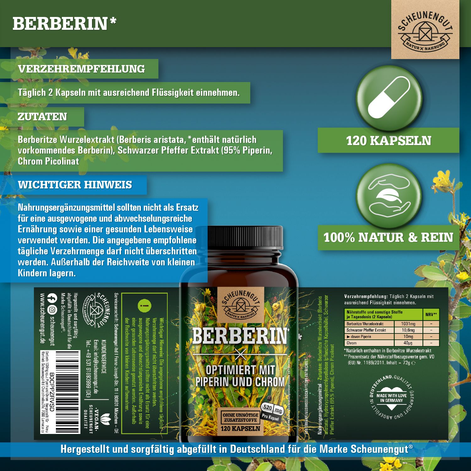 Flasche mit Berberin-Kapseln. Aufschrift: Berberin, optimiert mit Piperin und Chrom. 120 Kapseln. Logo: Scheunengut. Rückseite mit Inhaltsstoffen.