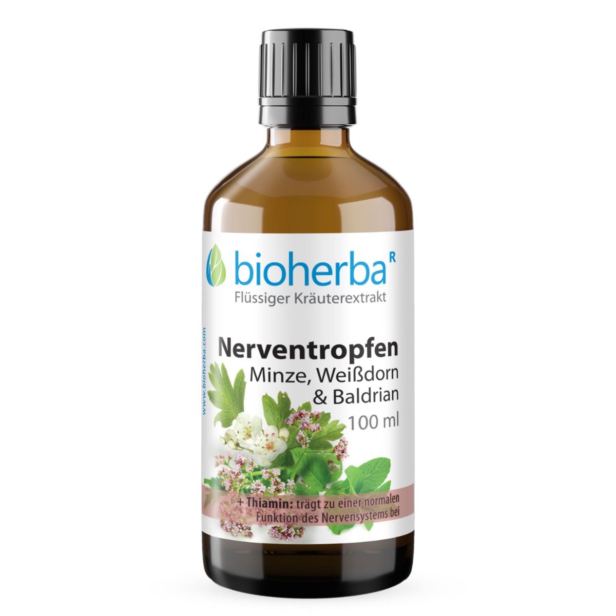 Braune Glasflasche mit schwarzem Deckel. Etikett mit Produktname und Marke: bioherba. Text: Nerventropfen Minze, Weißdorn & Baldrian. 100 ml.