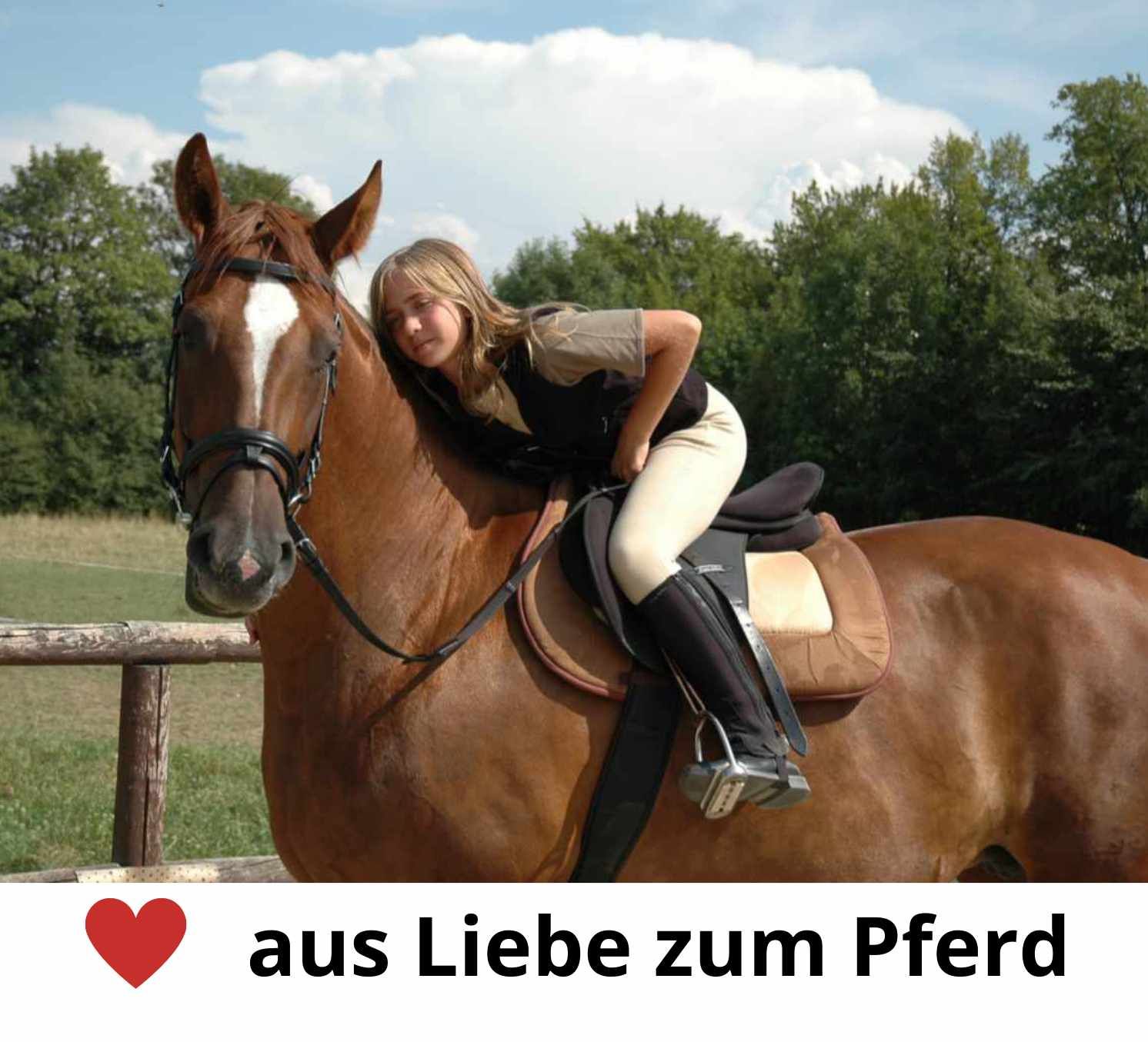 Eine Person sitzt auf einem Pferd. Text: aus Liebe zum Pferd.