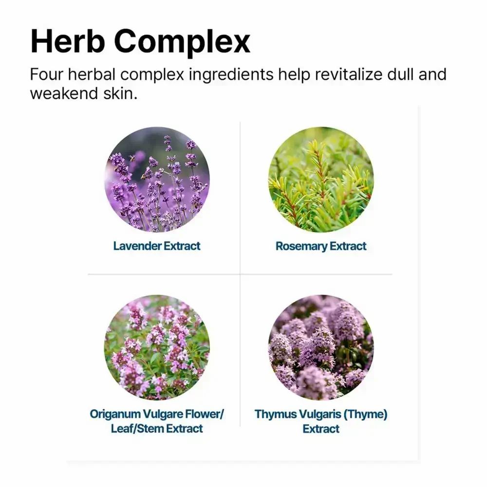 Vier Kreise mit Kräuterextrakten: Lavendel, Rosmarin, Oregano, Thymian. Text: Herb Complex. Blauer Hintergrund.