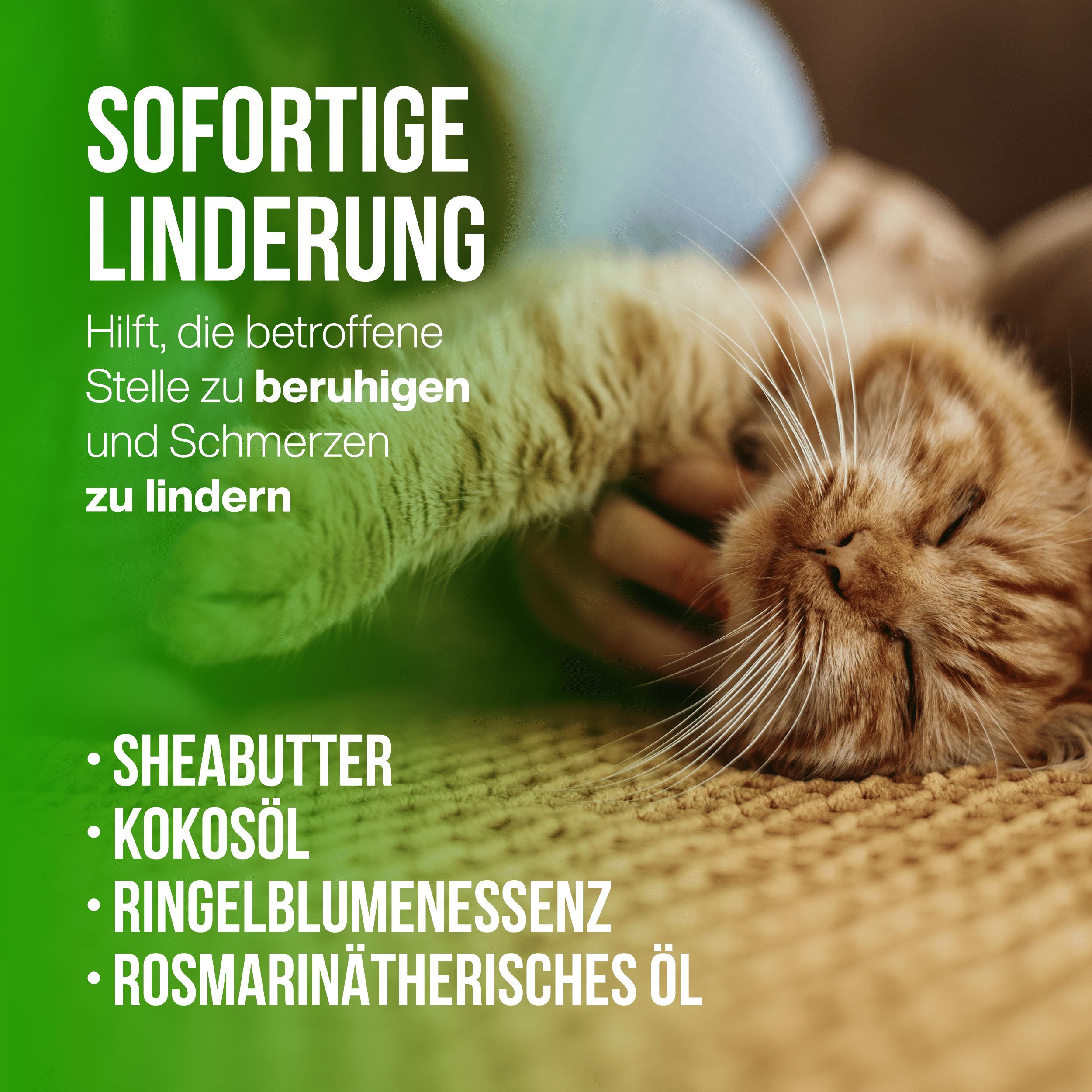 LA.GA Petbalm Pfotenbalsam und Nasenpflege für Hunde und Katzen