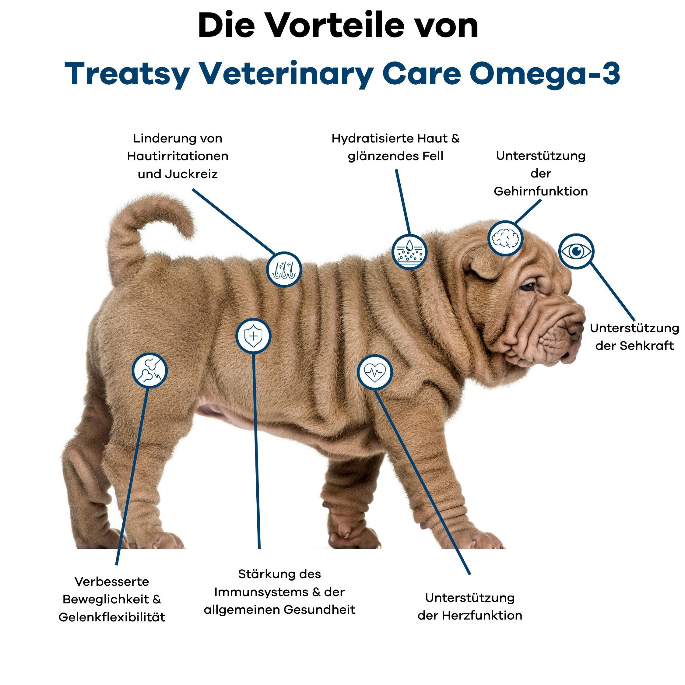 Vorteile von Omega-3 bei einem Hund: Haut, Fell, Gehirn, Augen, Immunsystem, Herz, Gelenke.