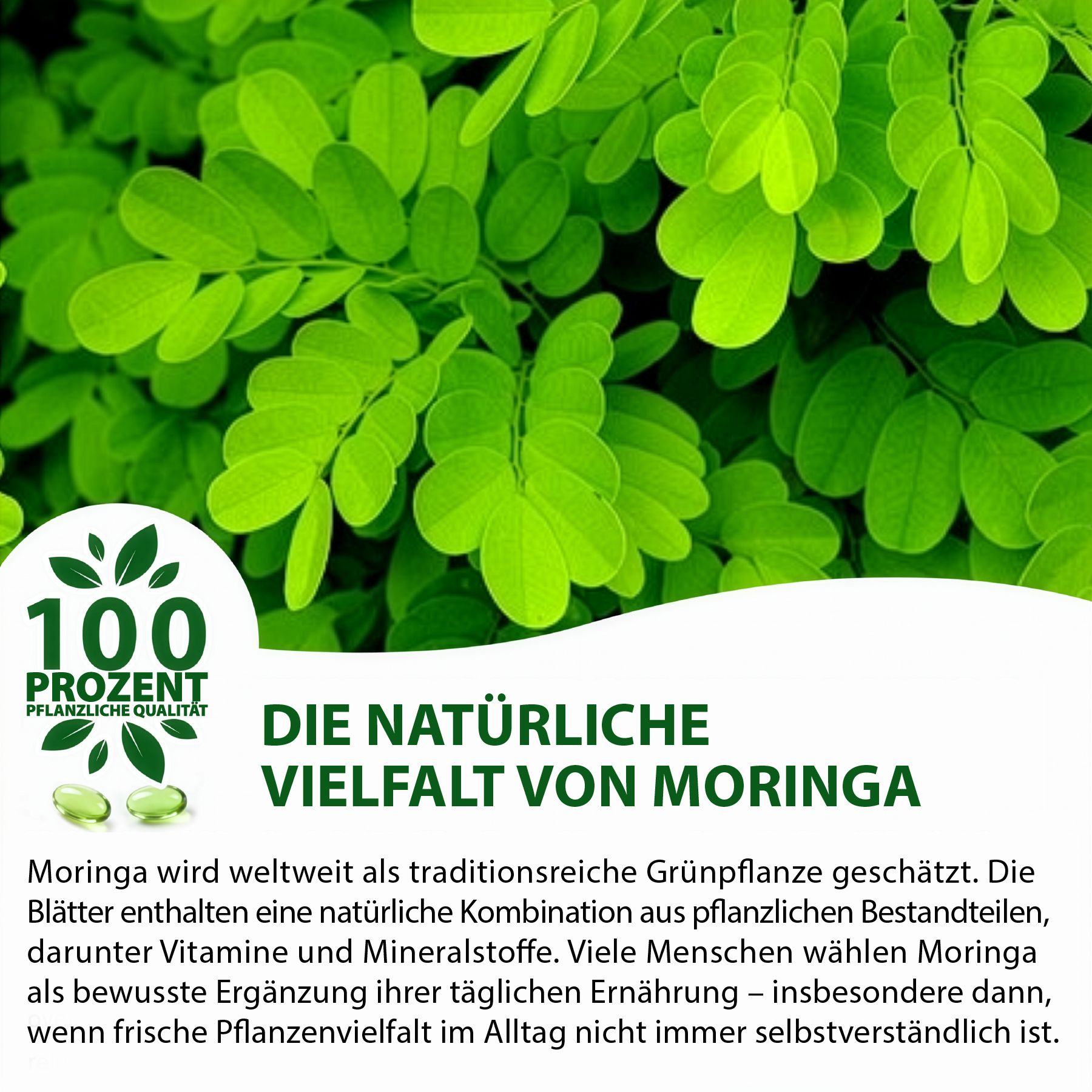 Grüne Blätter. Text: Die natürliche Vielfalt von Moringa. 100% pflanzliche Qualität. Grüne Kapseln.