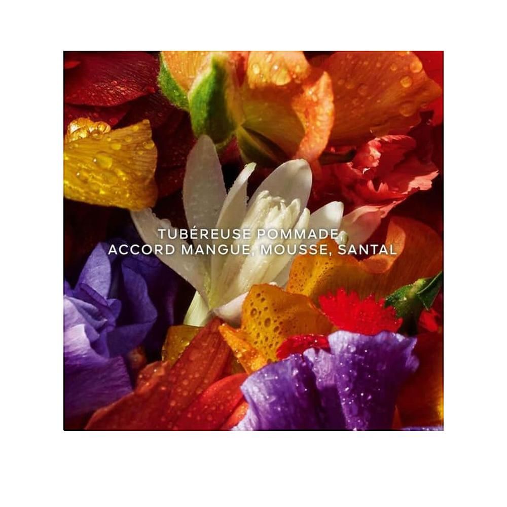 Nahaufnahme von bunten Blütenblättern. Text: Tubéreuse Pommade, Accord Mangue Mousse, Santal.