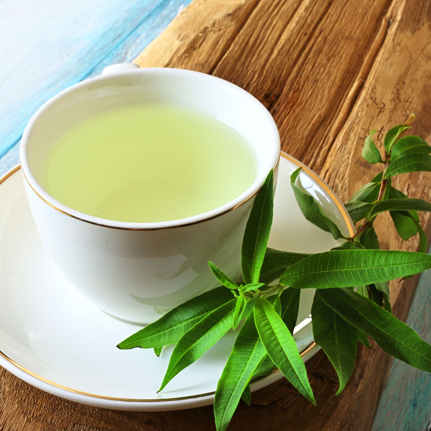 Weisse Tasse mit grünem Tee auf Untertasse. Daneben Zitronenverbene-Zweig. Holz- und blau-gestreifter Hintergrund.