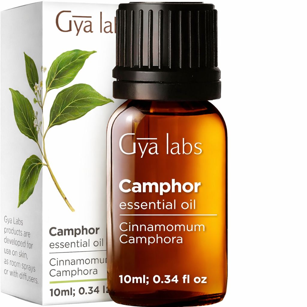 Braune Glasflasche mit schwarzem Deckel und weißer Verpackung. Etikett: Gya Labs, Camphor essential oil, Cinnamomum Camphora.