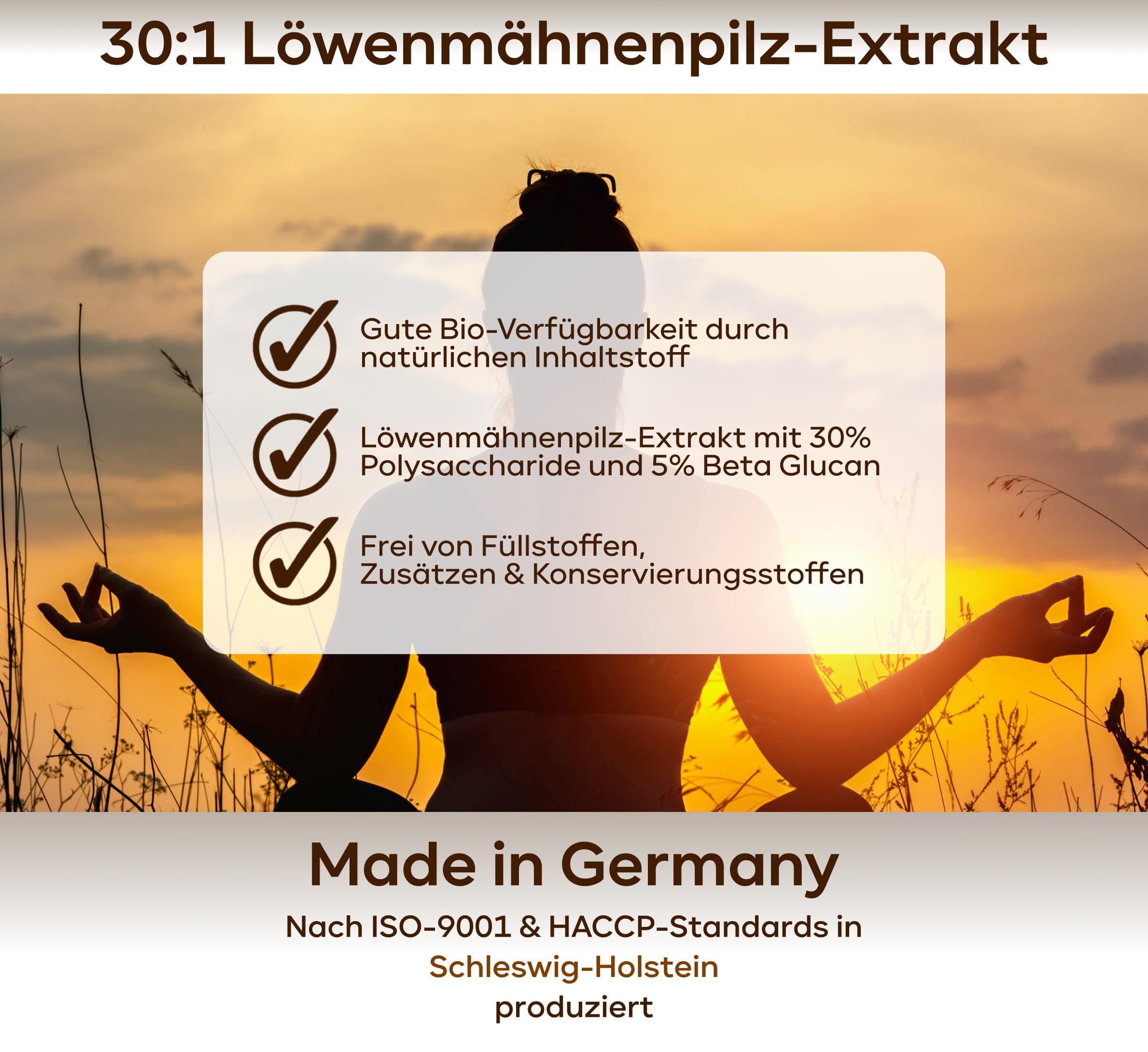 Werbung für Löwenmähne-Extrakt. Text: Gute Bio-Verfügbarkeit, 30% Polysaccharide, 5% Beta Glucan. Made in Germany. ISO-9001 & HACCP-Standards.