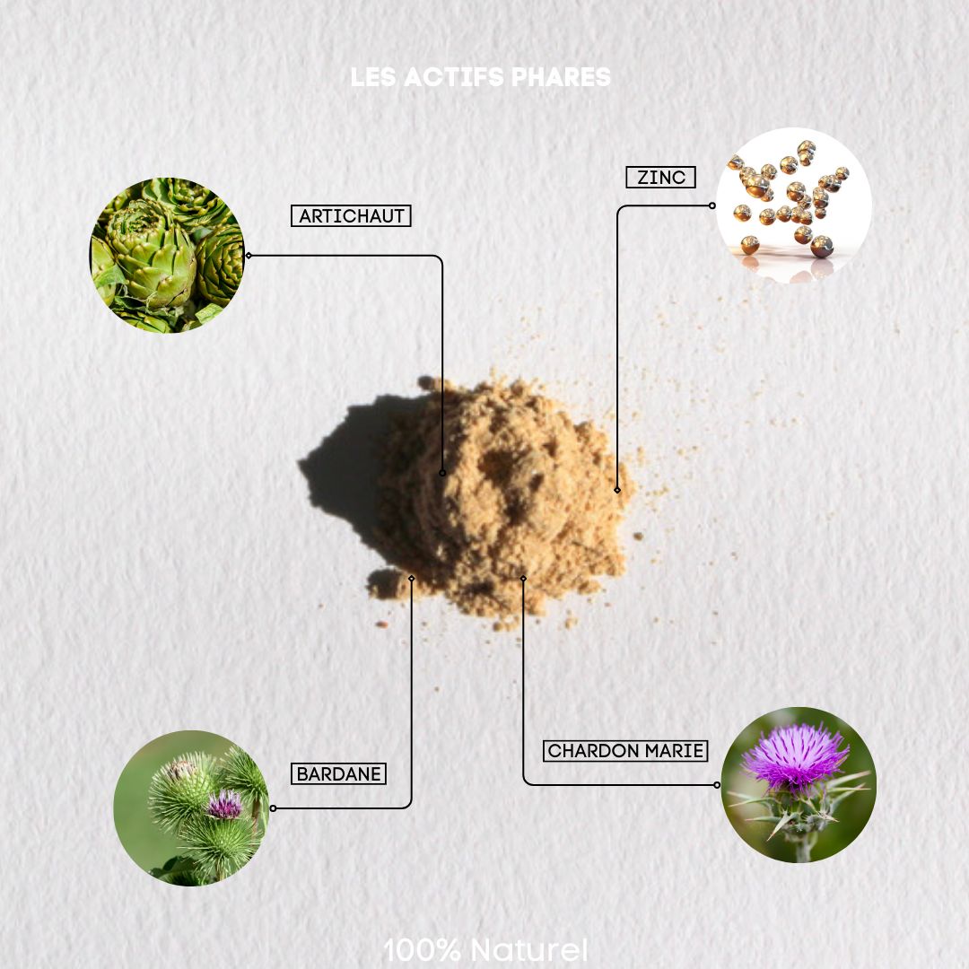 Nahaufnahme von Inhaltsstoffen. Artischocke, Zink, Klette, Mariendistel. Text: Les Actifs Phares, 100% Naturel.
