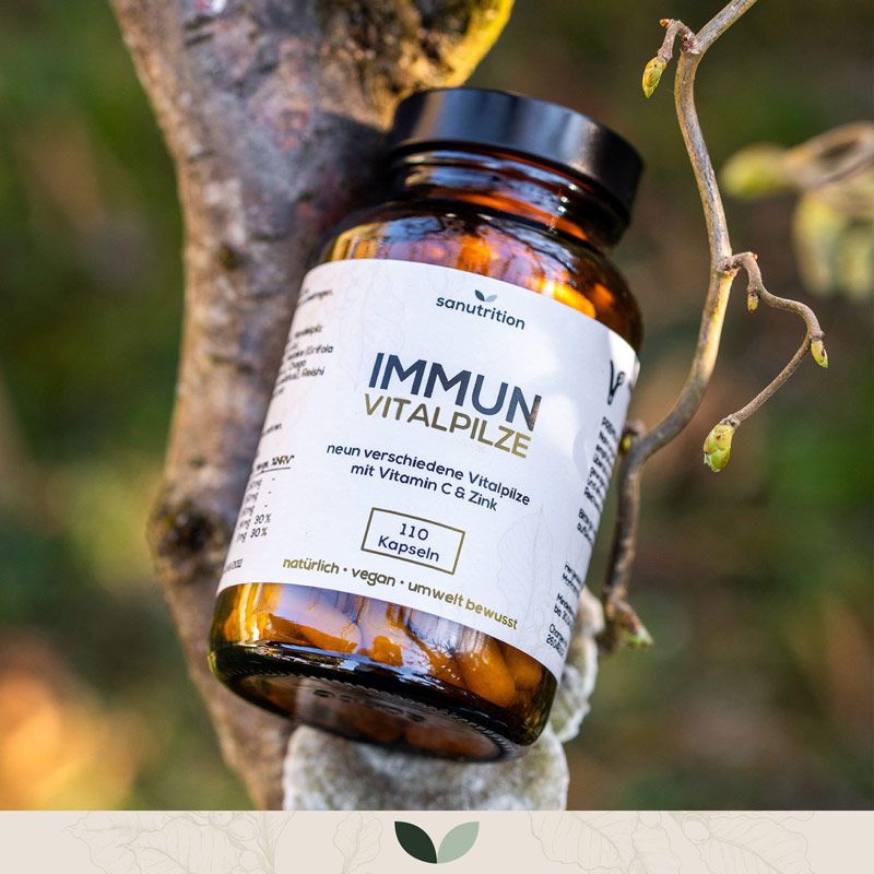 Sanutrition® - Immun Vitalpilze | mit Chaga, Reishi, Löwenmähne, Shiitake, Maitake etc.