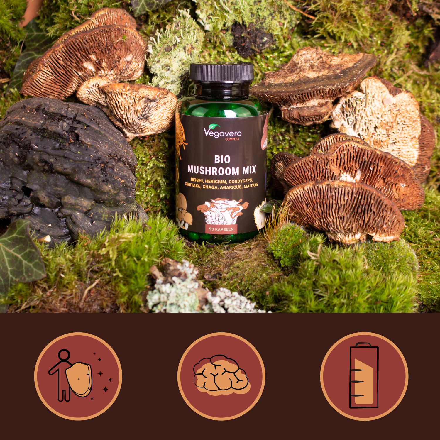 Grüne Flasche Vegavaro BIO Mushroom Mix, umgeben von Pilzen und Moos. Drei Icons: Immunsystem, Gehirn, Batterie.