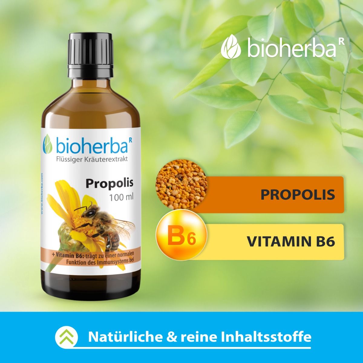 Braune Glasflasche mit schwarzem Deckel. Aufschrift: Bioherba Propolis, 100 ml. Mit gelber Blüte, Biene und B6.