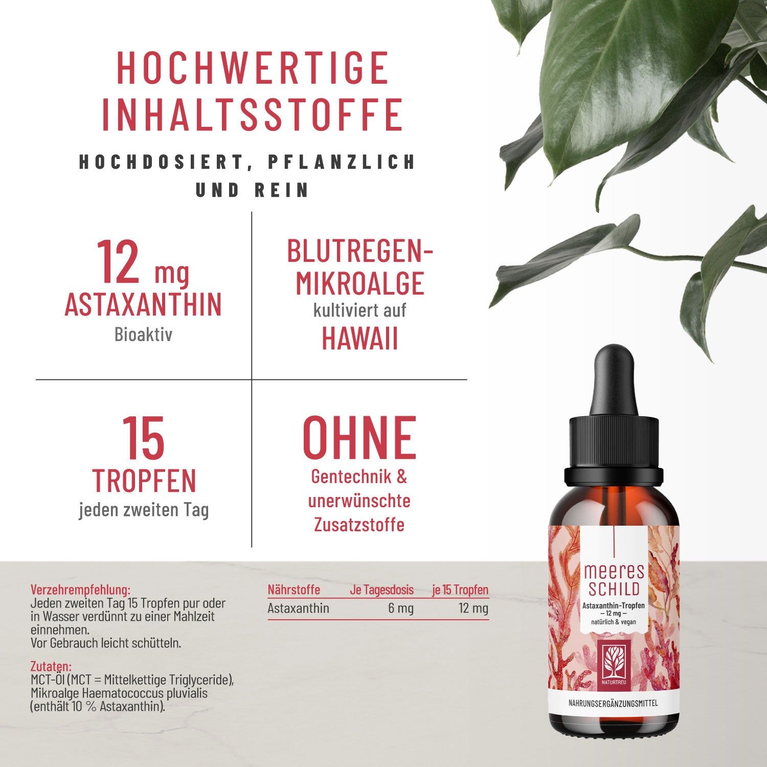 Grafik mit Informationen zu Astaxanthin-Tropfen. Enthält Angaben zu Inhaltsstoffen, Dosierung und Herkunft.