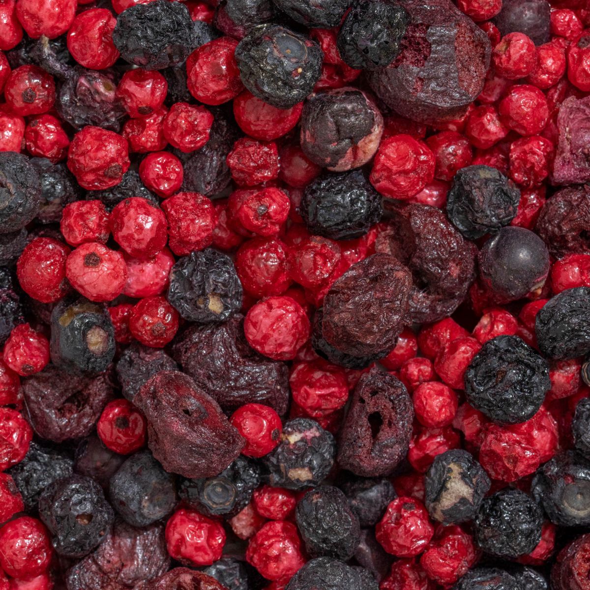 Nahaufnahme von gefriergetrockneten Früchten. Rote und dunkle Beeren. Unterschiedliche Formen und Größen.