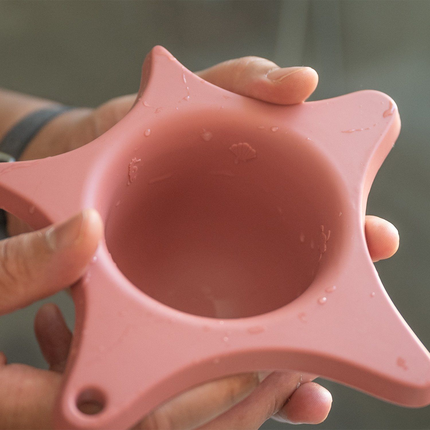 Rosa Duschhilfe, von oben gesehen. Sternförmige Basis mit einem kreisförmigen Hohlraum in der Mitte.