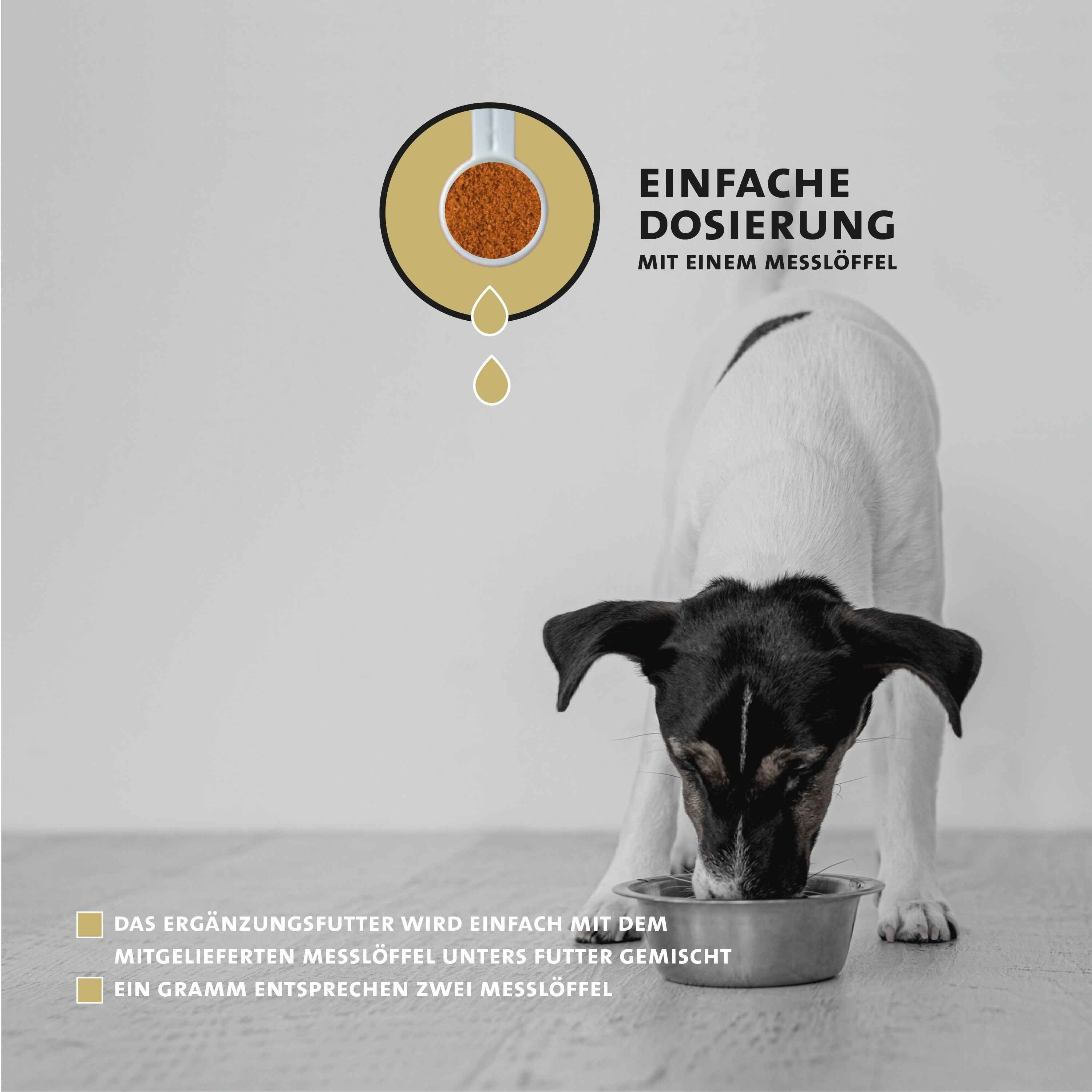 Hund frisst Futter mit Peticare Sekundäre Pflanzenstoffe Pulver, einfache Dosierung.