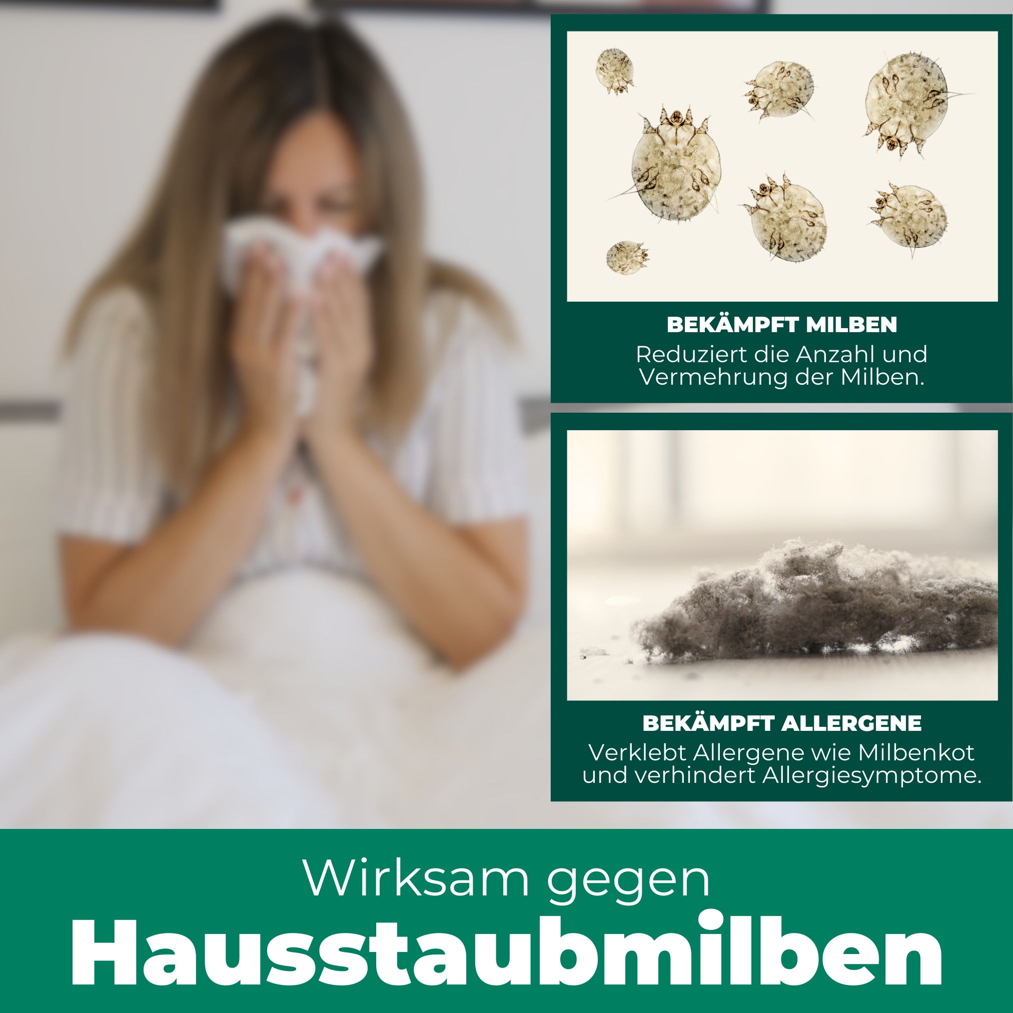 SILBERKRAFT Milbenspray Sofa & Textil