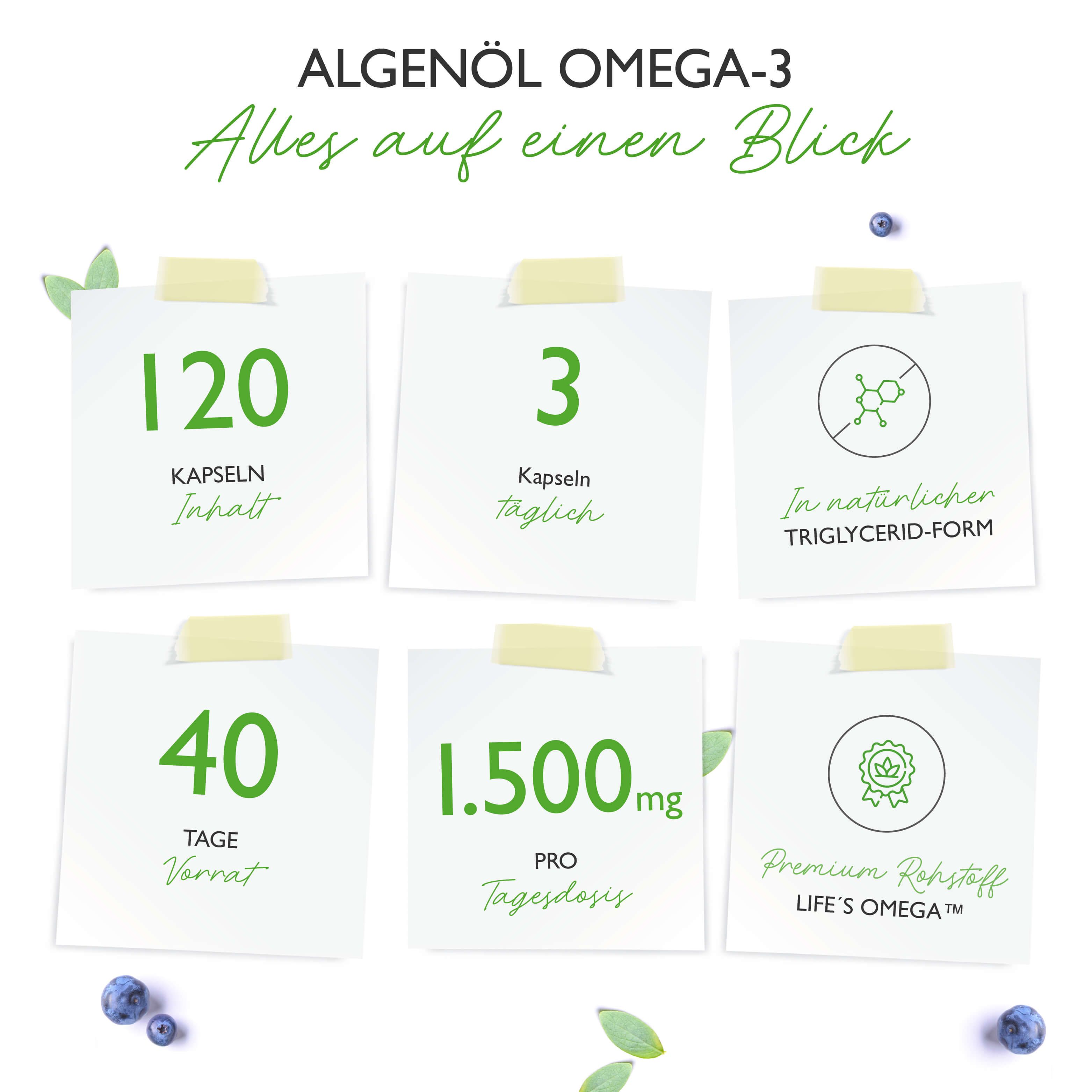 Infografik mit Notizen. 120 Kapseln, 3 Kapseln täglich, in natürlicher Triglycerid-Form, 40 Tage Vorrat, 1.500mg pro Tagesdosis.