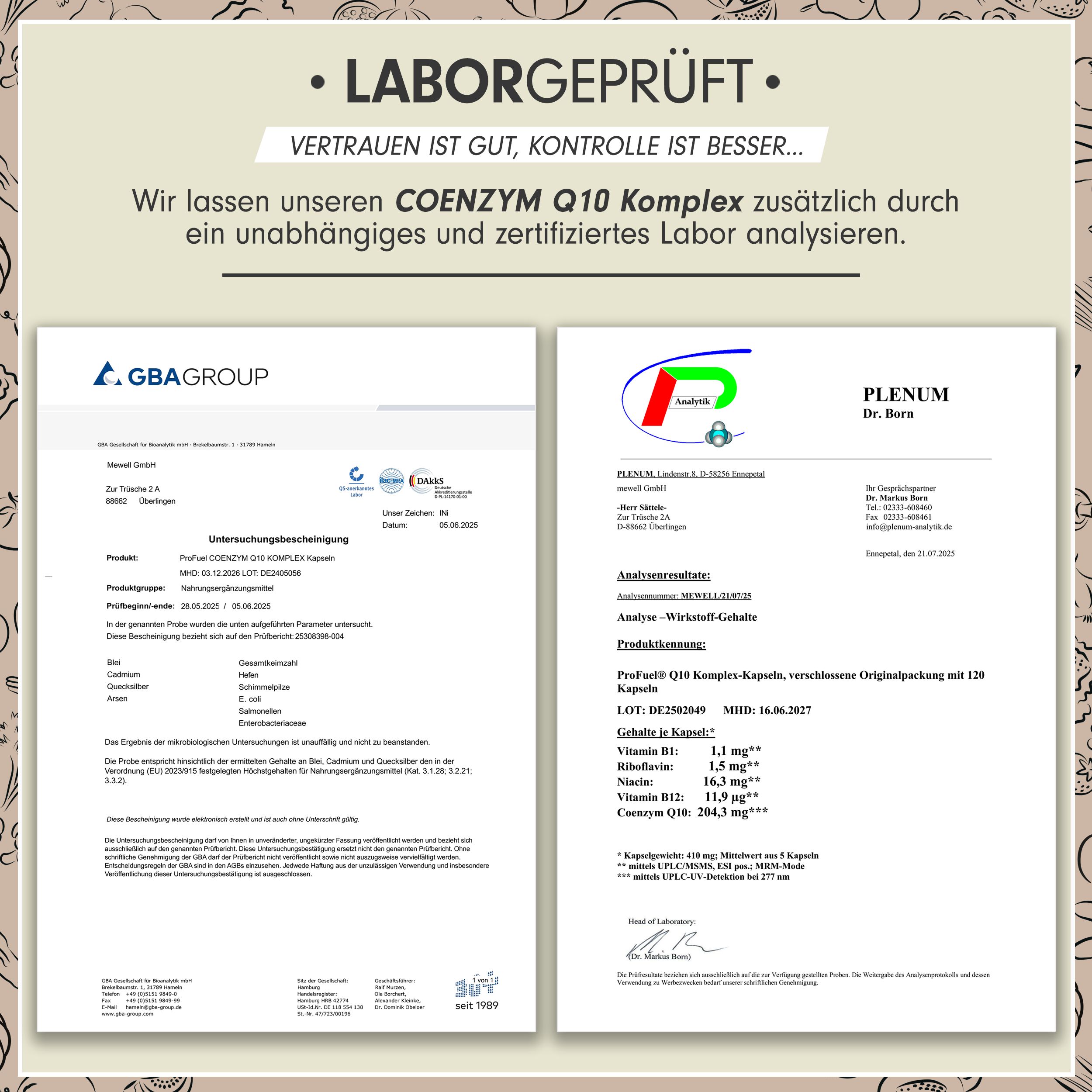 Zwei Laborberichte. Text: COENZYM Q10 KOMPLEX. Zertifizierungen und Analysedaten. Logo: GBA GROUP, PLENUM Dr. Bern.