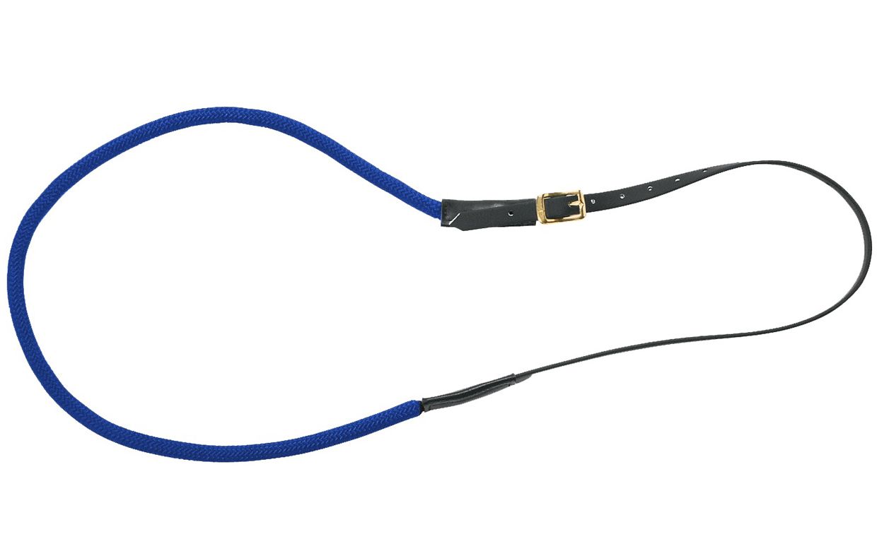 Blaue Doppellonge mit schwarzem Leder und goldener Schnalle.