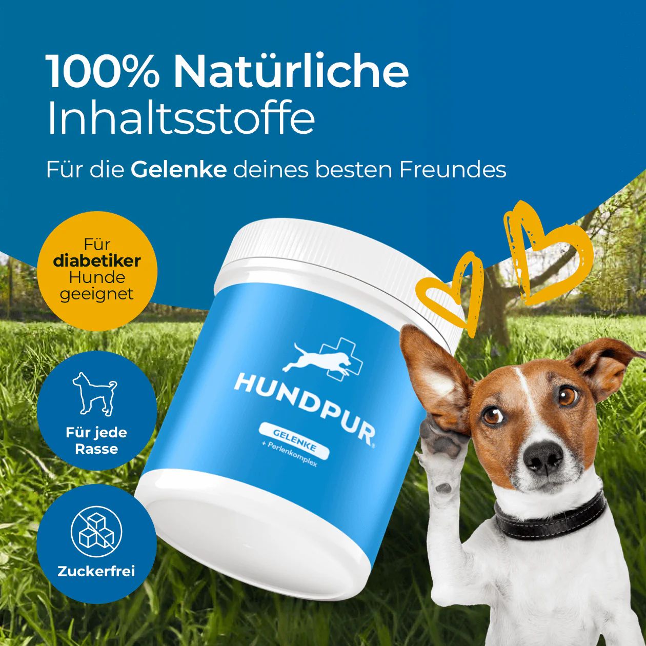 HUNDPUR Gelenke Dose, blau-weiß, mit Hund. Aufschrift: 100% natürliche Inhaltsstoffe, Für jede Rasse, Zuckerfrei. Hund im Gras.