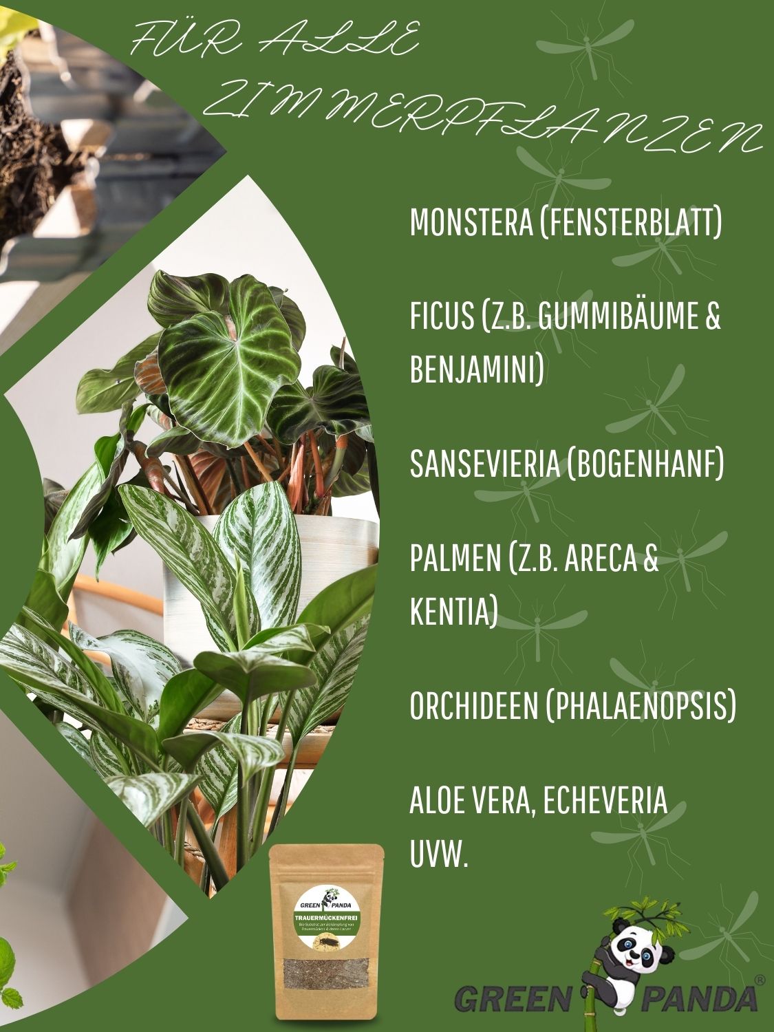 Grüner Hintergrund mit Text für Zimmerpflanzen. Enthält eine Packung GreenPanda Trauermücken-Frei. Pflanzen wie Monstera, Ficus, Sansevieria.