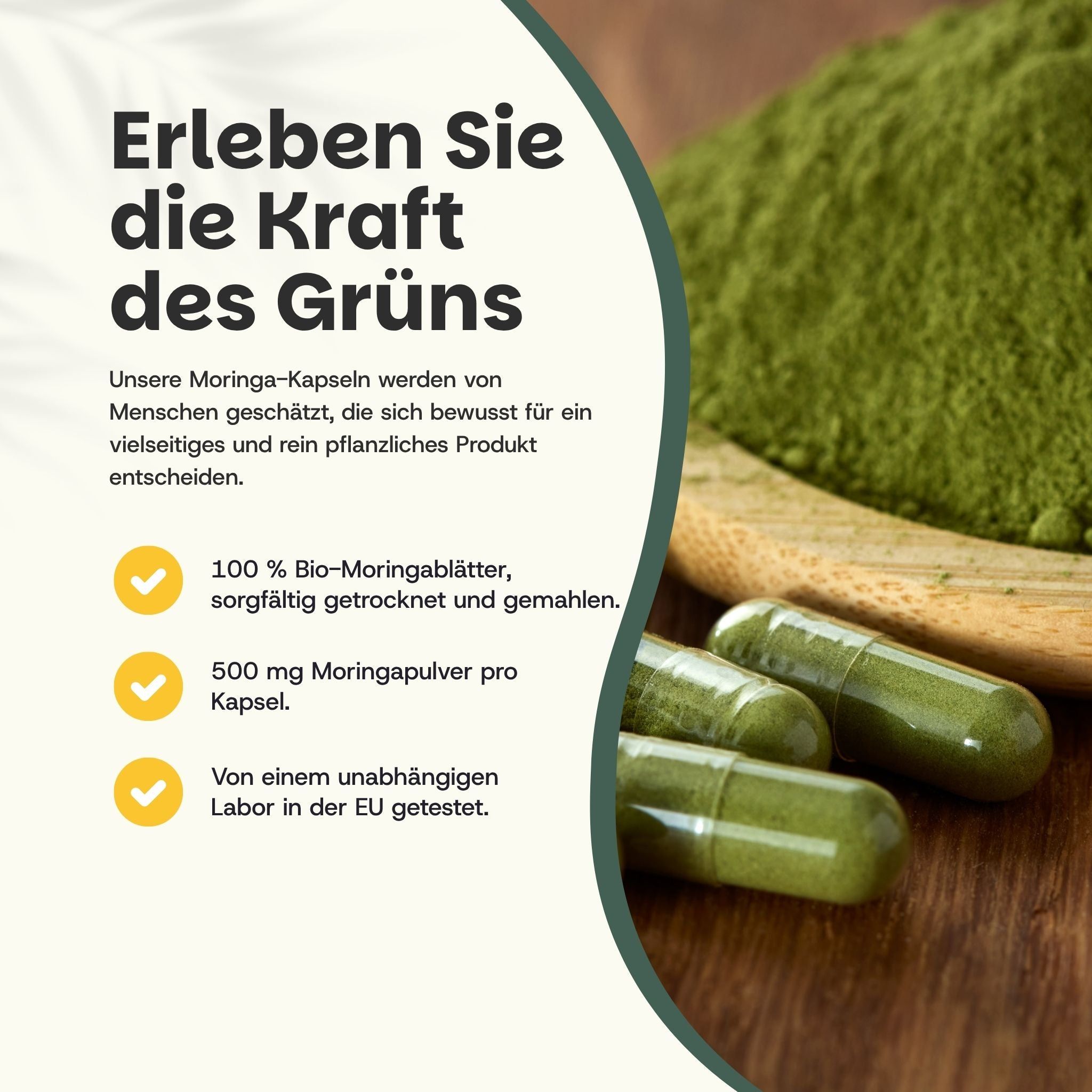 Organische Moringa-Kapseln. 100% natürlich, ohne Füllstoffe, vegan, Bio-Zertifizierung.