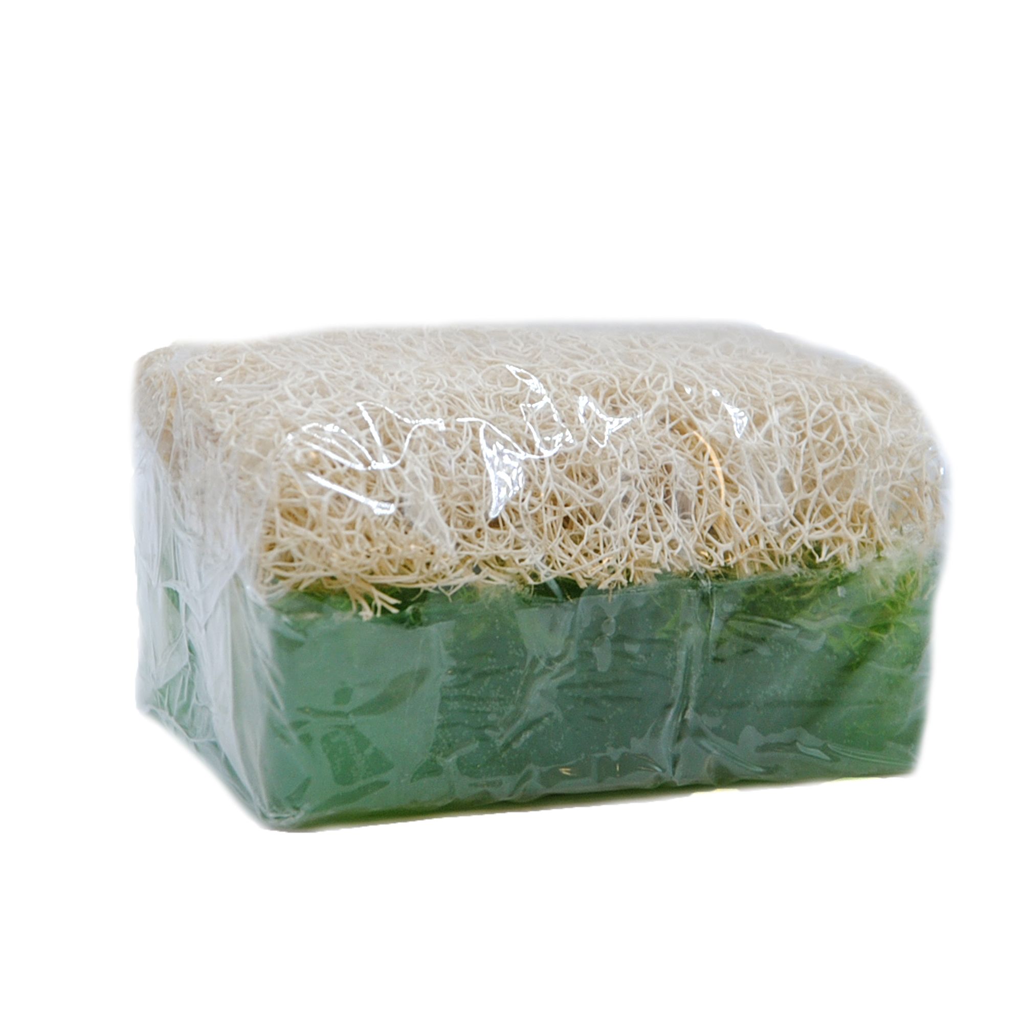 Grüne Seife mit Naturfaser-Schwamm, in Folie verpackt. Rechteckige Form.