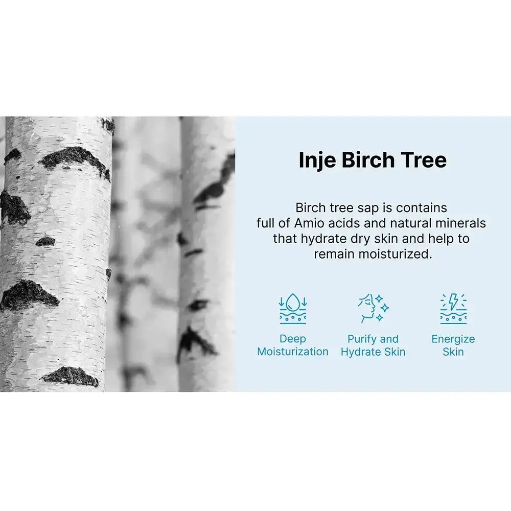 Schwarz-weiß Bild von Birkenstämmen. Text: "Inje Birch Tree". Informationen über Birkenwasser und seine Vorteile.