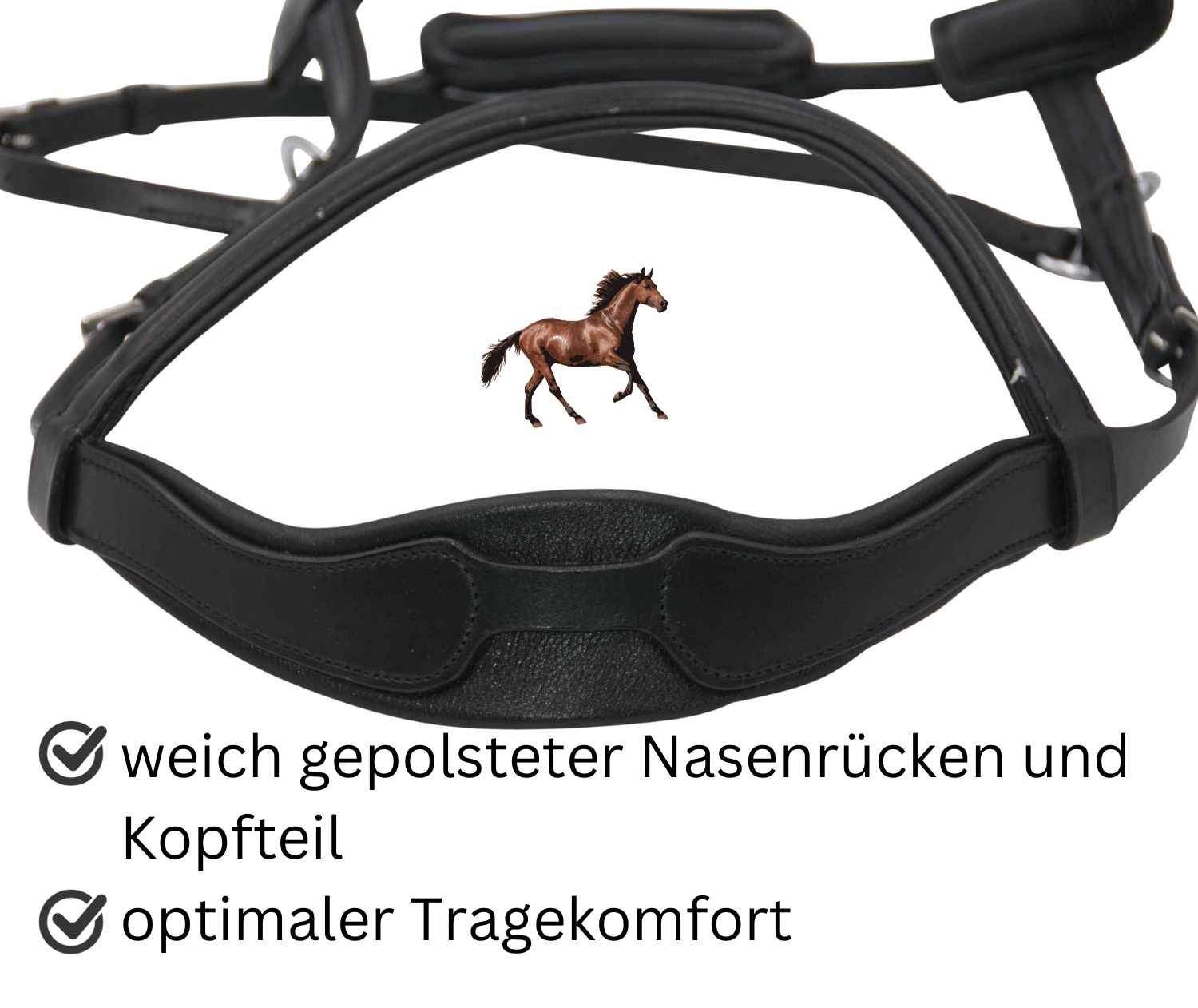 Schwarzer Reitkappzaum mit weich gepolstertem Nasenrücken und Kopfteil. Optimaler Tragekomfort.
