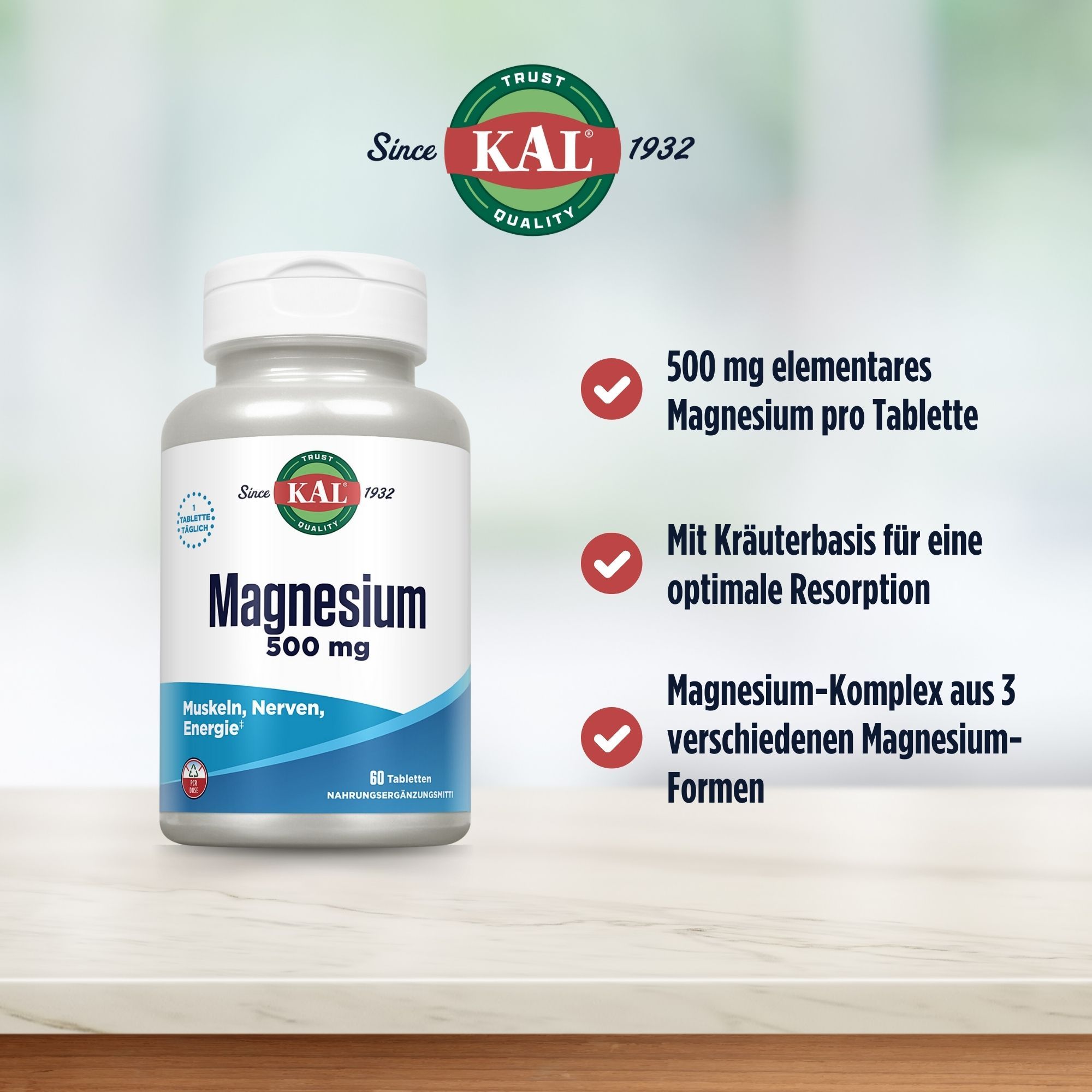 Eine Flasche mit Tabletten. Aufschrift: Magnesium 500 mg. Text: 500 mg elementares Magnesium pro Tablette. Mit Kräuterbasis. Magnesium-Komplex.