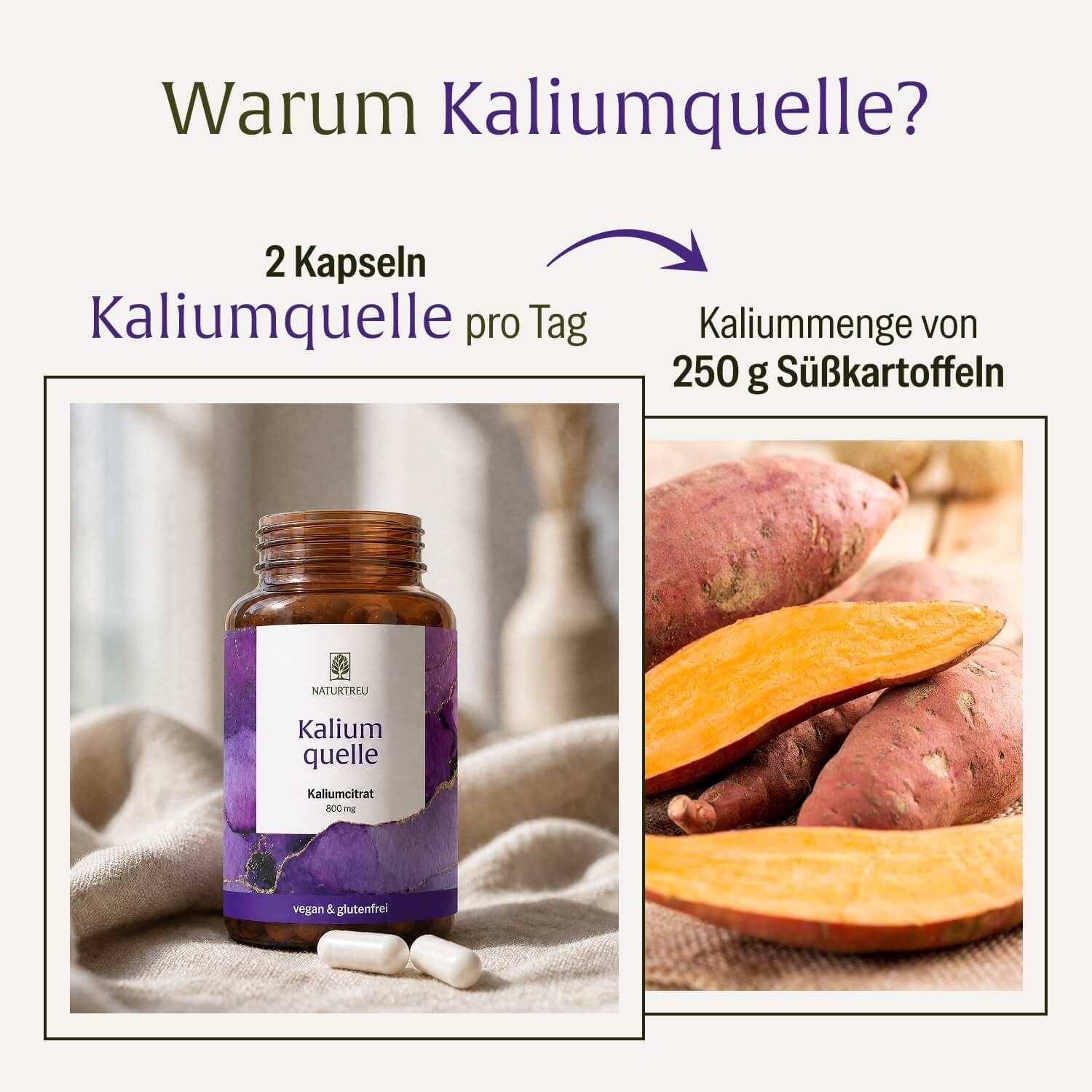 NATURTREU Kaliumquelle Kapseldose und Süßkartoffeln als Kaliumquelle.