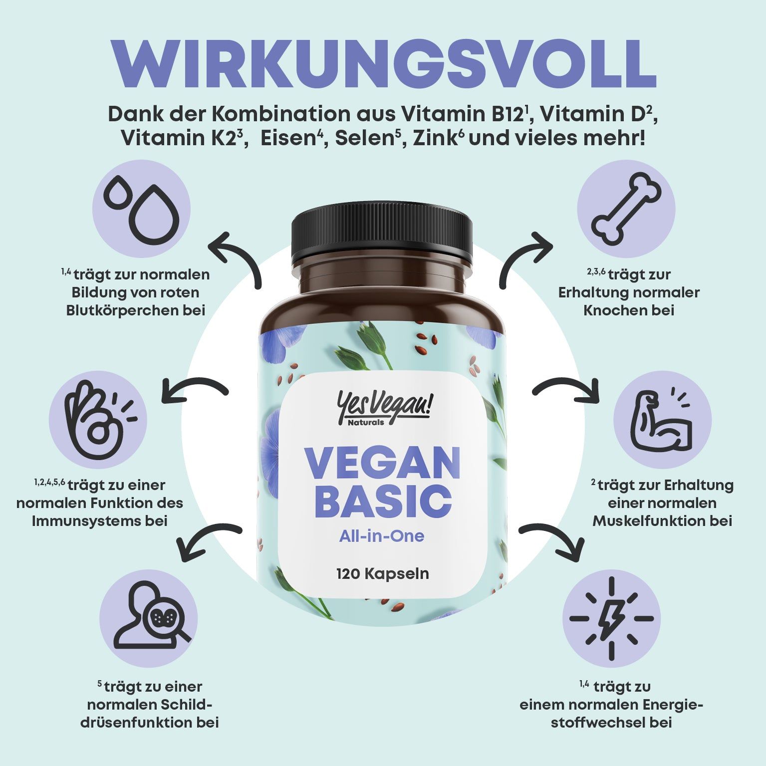 Braune Flasche mit Kapseln. Text: Yes Vegan! Vegan Basic All-in-One, 120 Kapseln. Diagramm mit Wirkungen: Immunsystem, Knochen, Muskeln, Energie, Schilddrüse, Blutkörperchen.