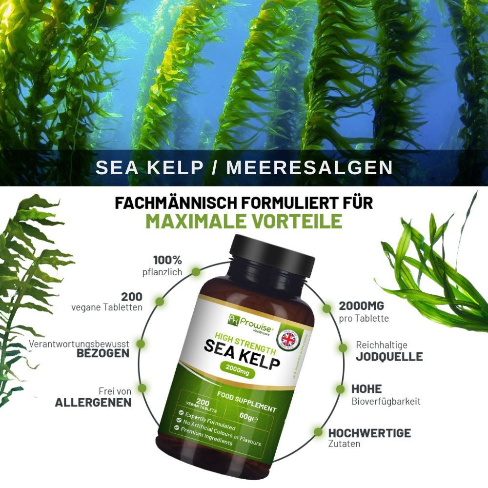 Produktflasche mit Sea Kelp. Text: Fachmännisch formuliert für maximale Vorteile. 200 vegane Tabletten. 2000mg pro Tablette.