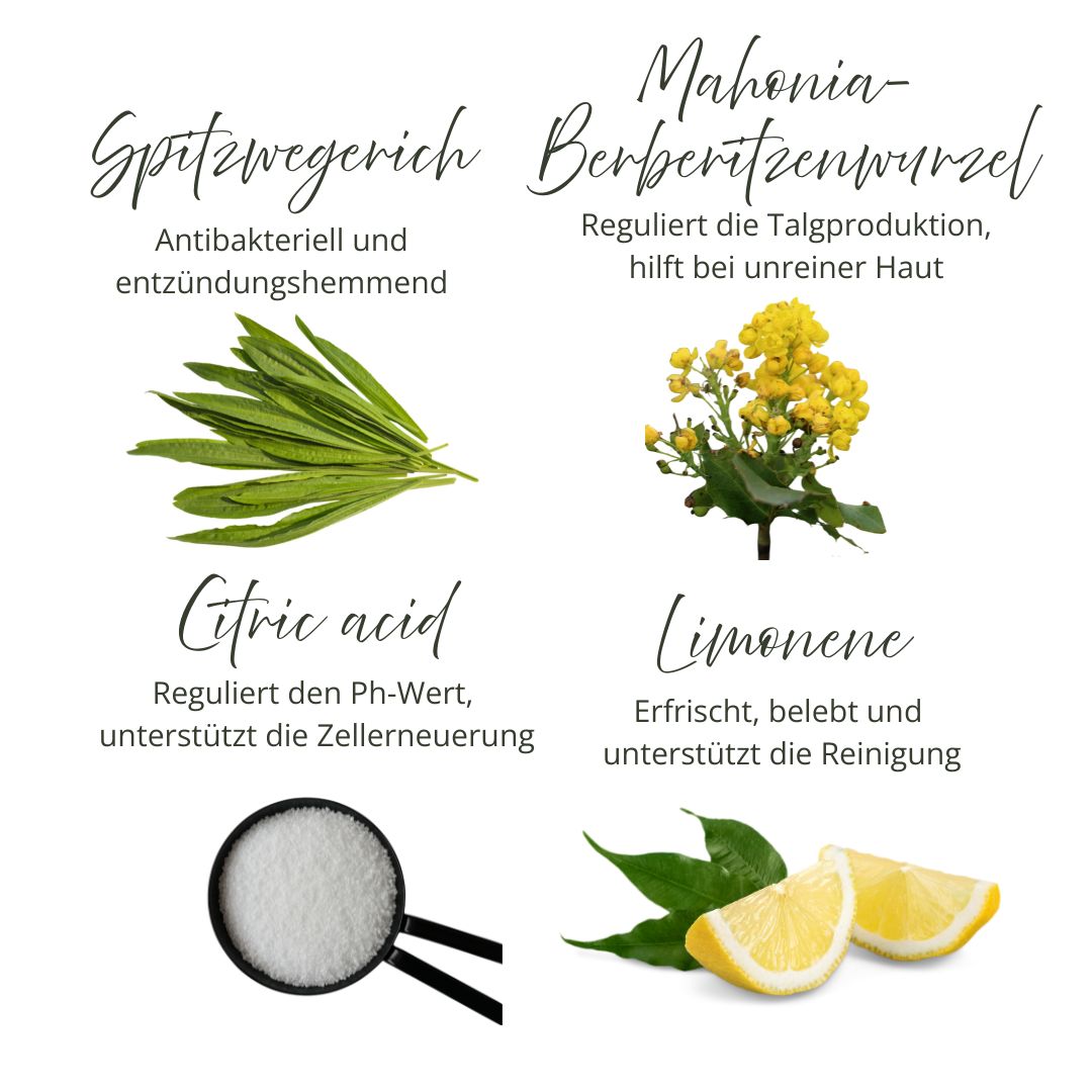 Vier Bilder mit Inhaltsstoffen: Spitzwegerich, Mahonia-Berberitzenwurzel, Zitronensäure, Limonene. Textbeschreibungen zu den Inhaltsstoffen und deren Wirkung.