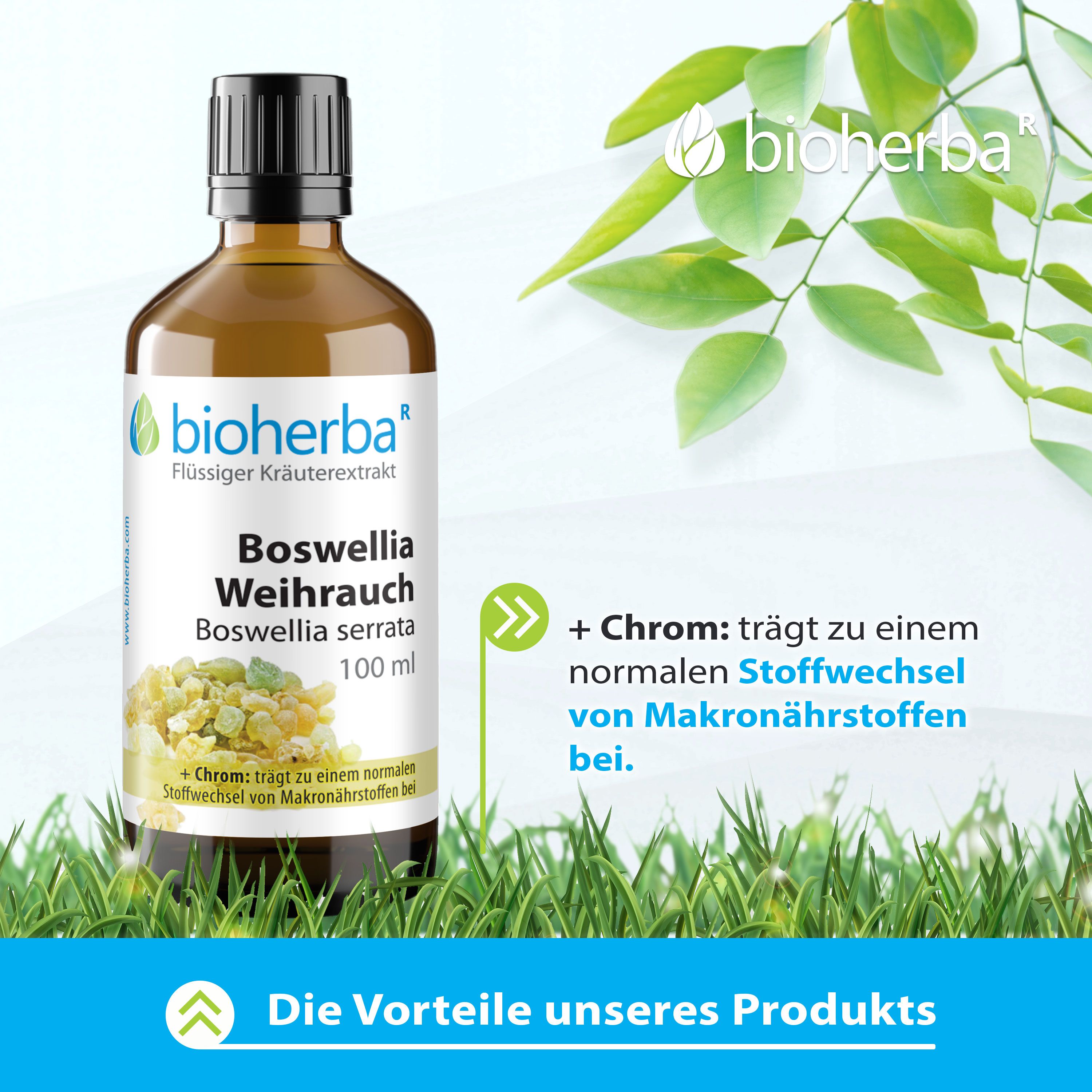Braune Glasflasche mit Etikett. Bioherba Boswellia Weihrauch Tropfen. 100 ml. Grünpflanzen und Gras im Hintergrund.