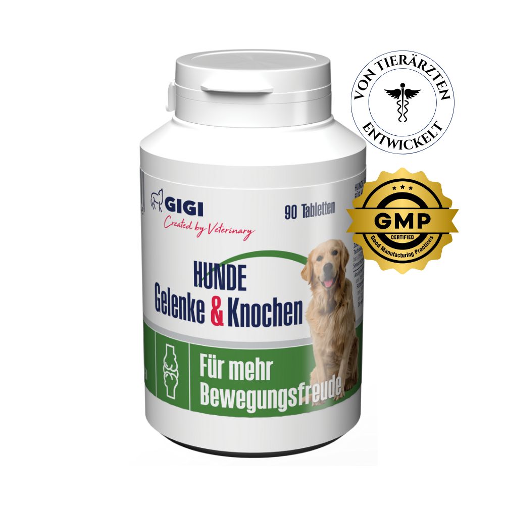 Weiße Flasche mit Tabletten. Aufschrift: Hunde Gelenke & Knochen. Logo: GIGI. Siegel: Von Tierärzten entwickelt, GMP.