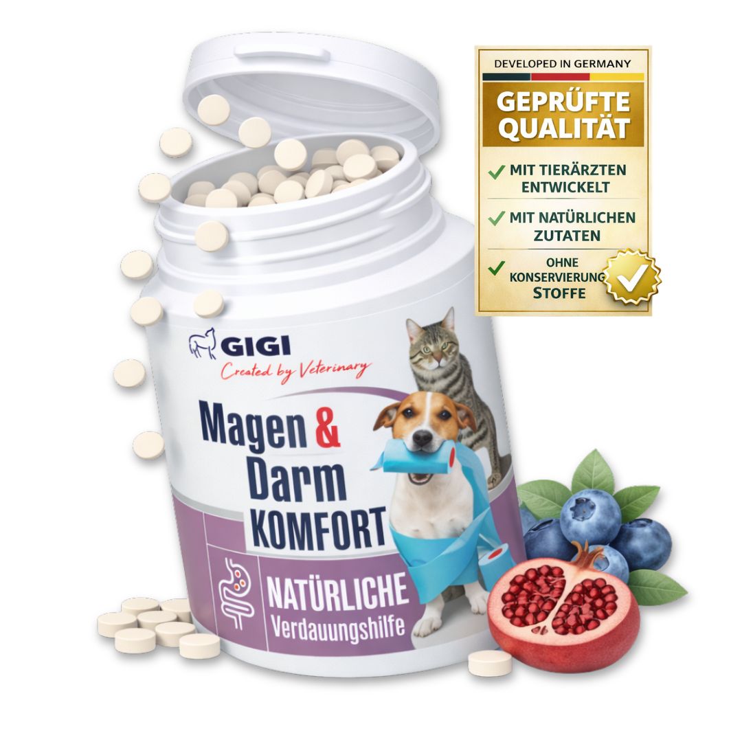 Produkt in Dose mit Tabletten. Text: Magen & Darm Komfort, Natürliche Verdauungshilfe. Logo: GIGI. Zertifizierung.