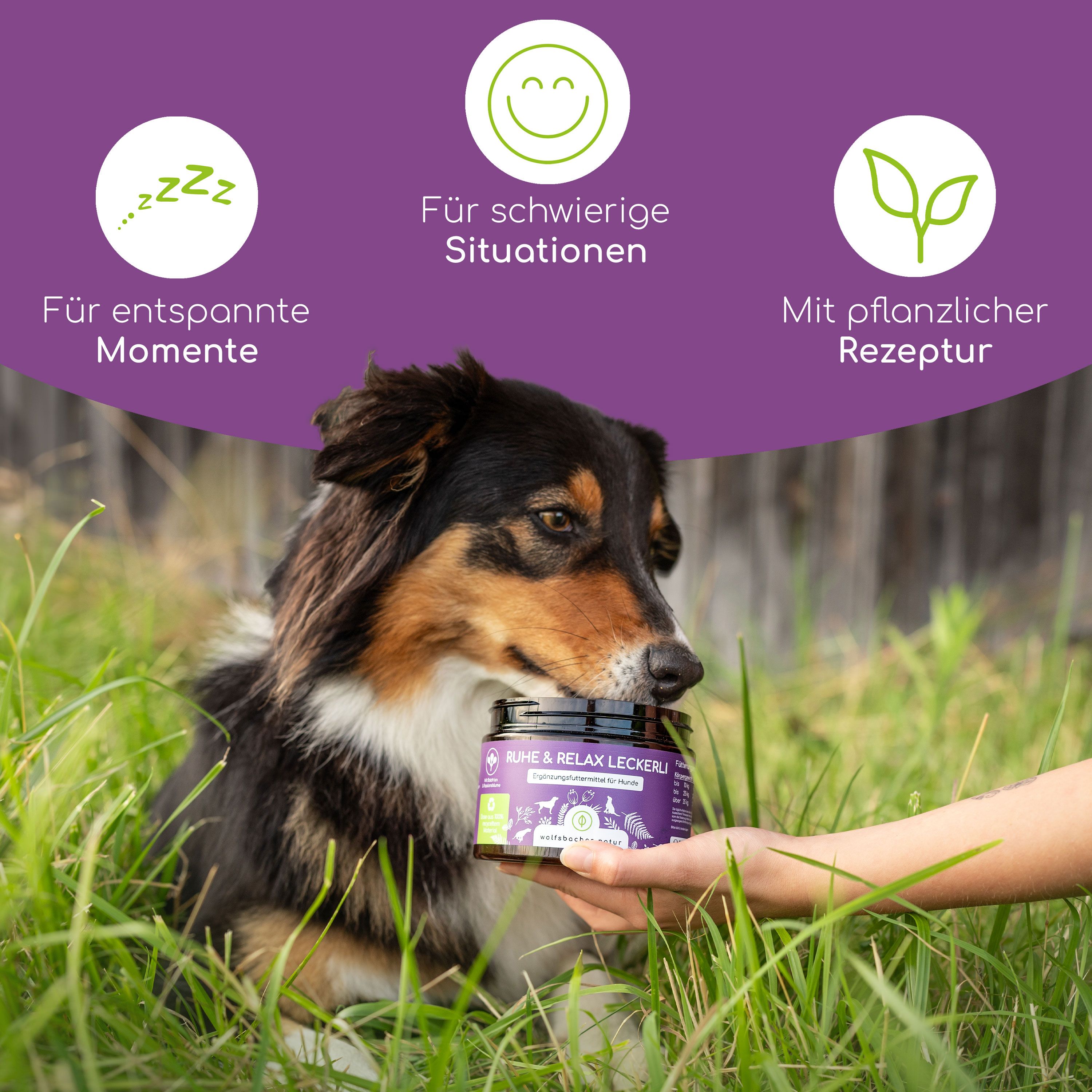 Hund im Gras, hält Dose mit "Ruhe & Relax Leckerli". Text: Für entspannte Momente, Für schwierige Situationen, Mit pflanzlicher Rezeptur.
