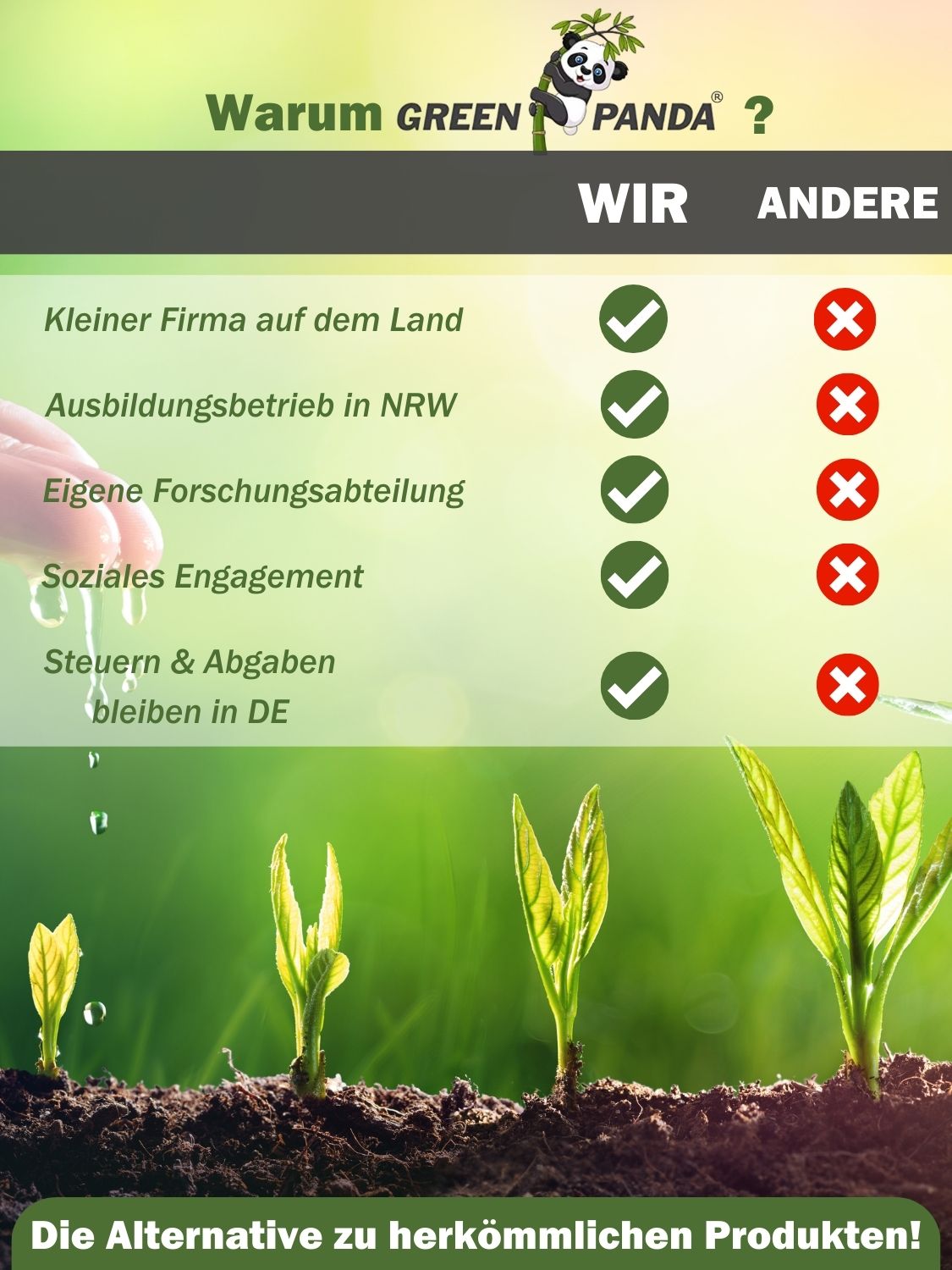 Infografik: Warum GreenPanda? Vorteile: Kleine Firma, Ausbildung, Forschung, soziales Engagement, Steuern in DE. Gegenüber anderen.
