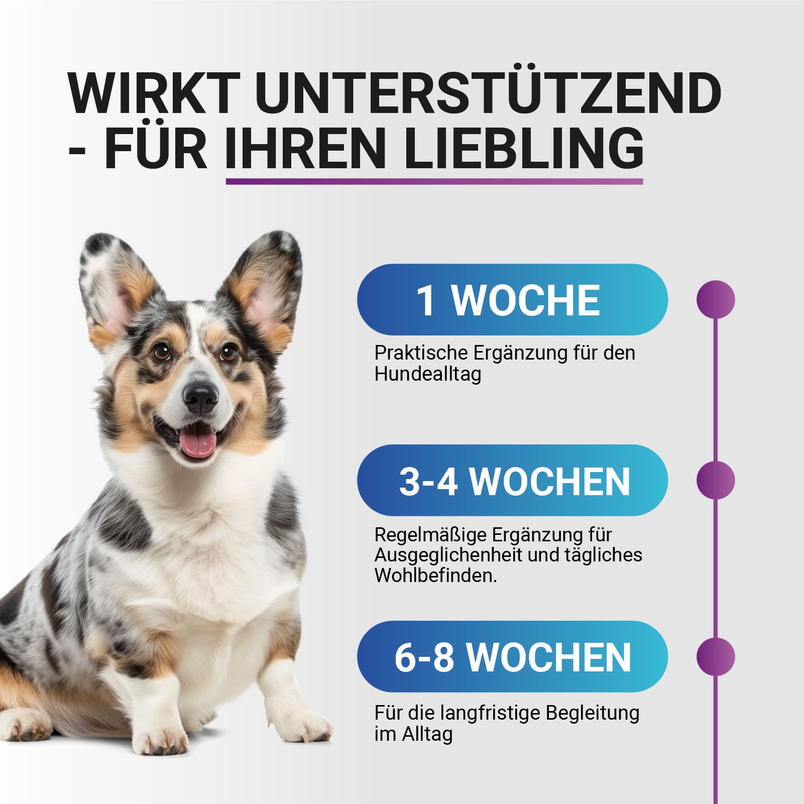 Haut & Fell Soft Snack für Hunde, getreidefrei, mit DHA & Biotin.