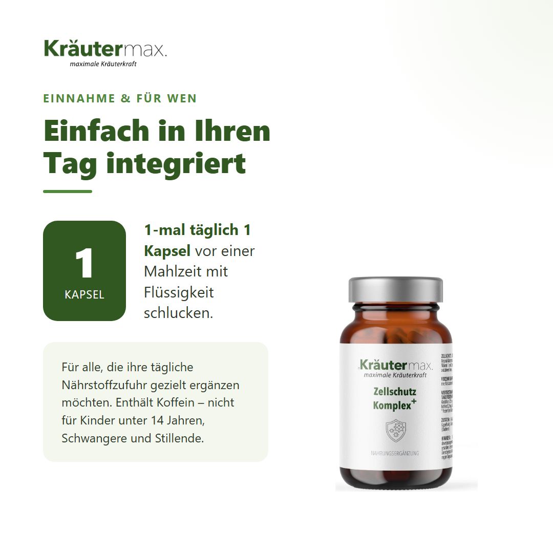 Anwendung von Kräutermax Zellschutz Komplex: 1 Kapsel täglich vor dem Essen.