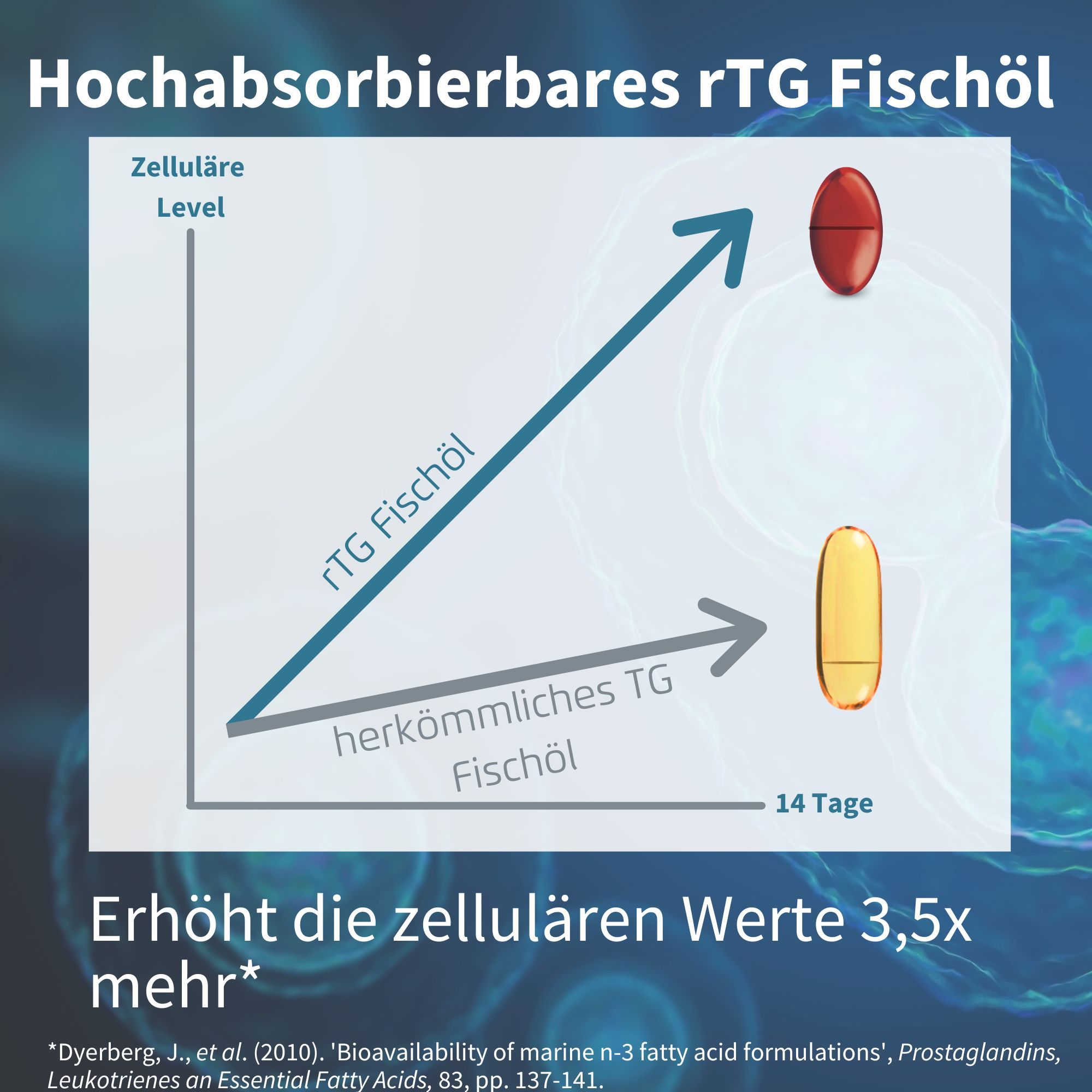 Grafik zeigt höhere zelluläre Aufnahme von rTG Fischöl im Vergleich zu herkömmlichem TG Fischöl.