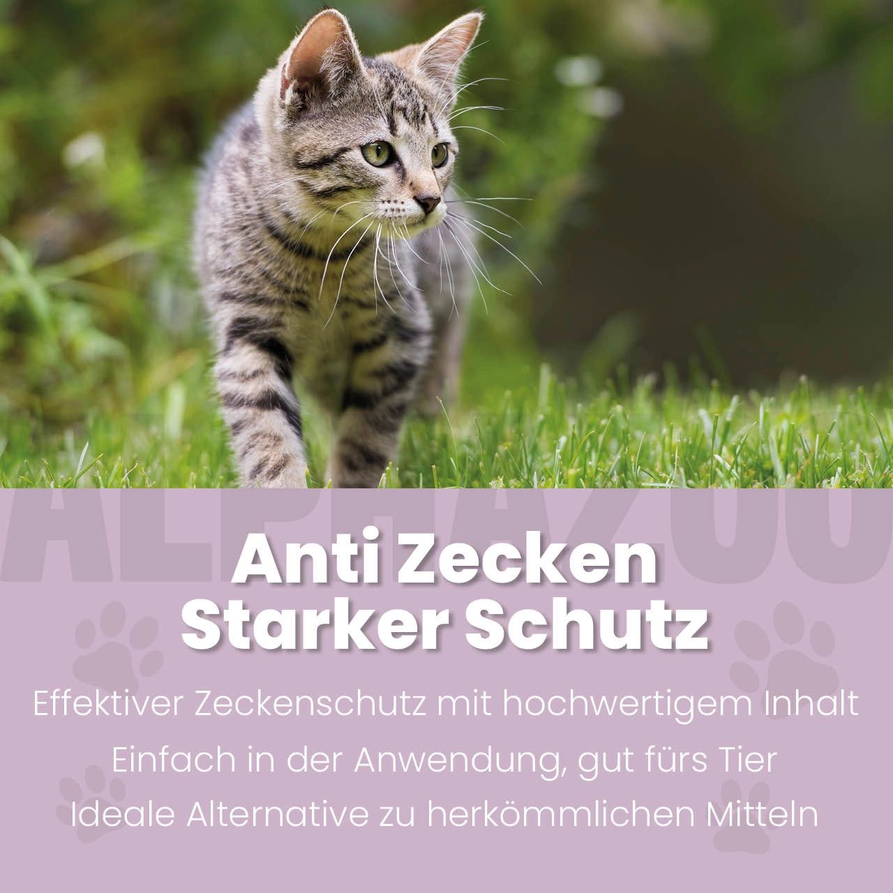 Katze im Gras. Text: Anti Zecken, Starker Schutz. Effektiv, gut fürs Tier. Alternative zu herkömmlichen Mitteln.