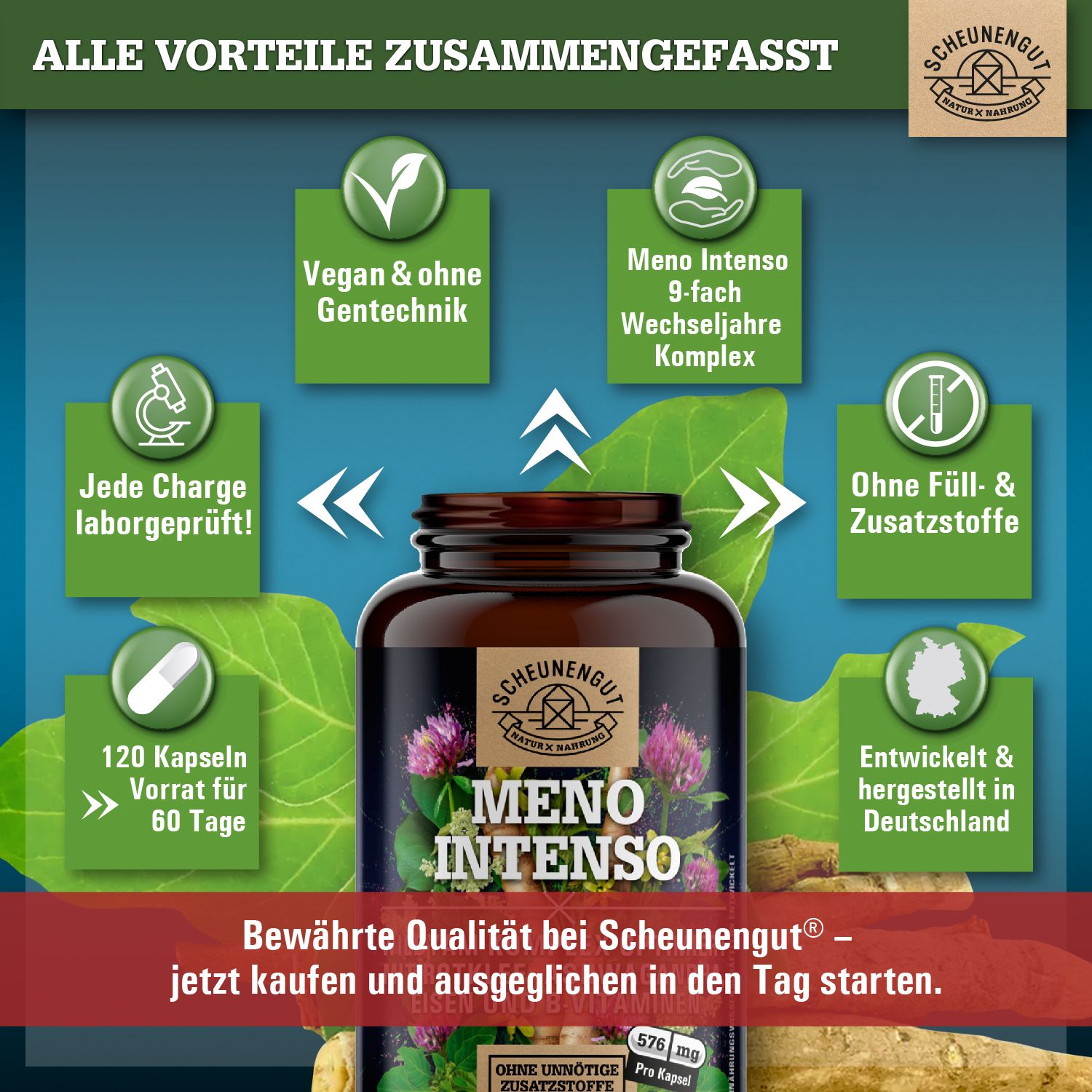 Scheunengut® MENO INTENSO | Wechseljahre/Menopause Komplex mit Yamswurzel, Ashwagandha uvm.