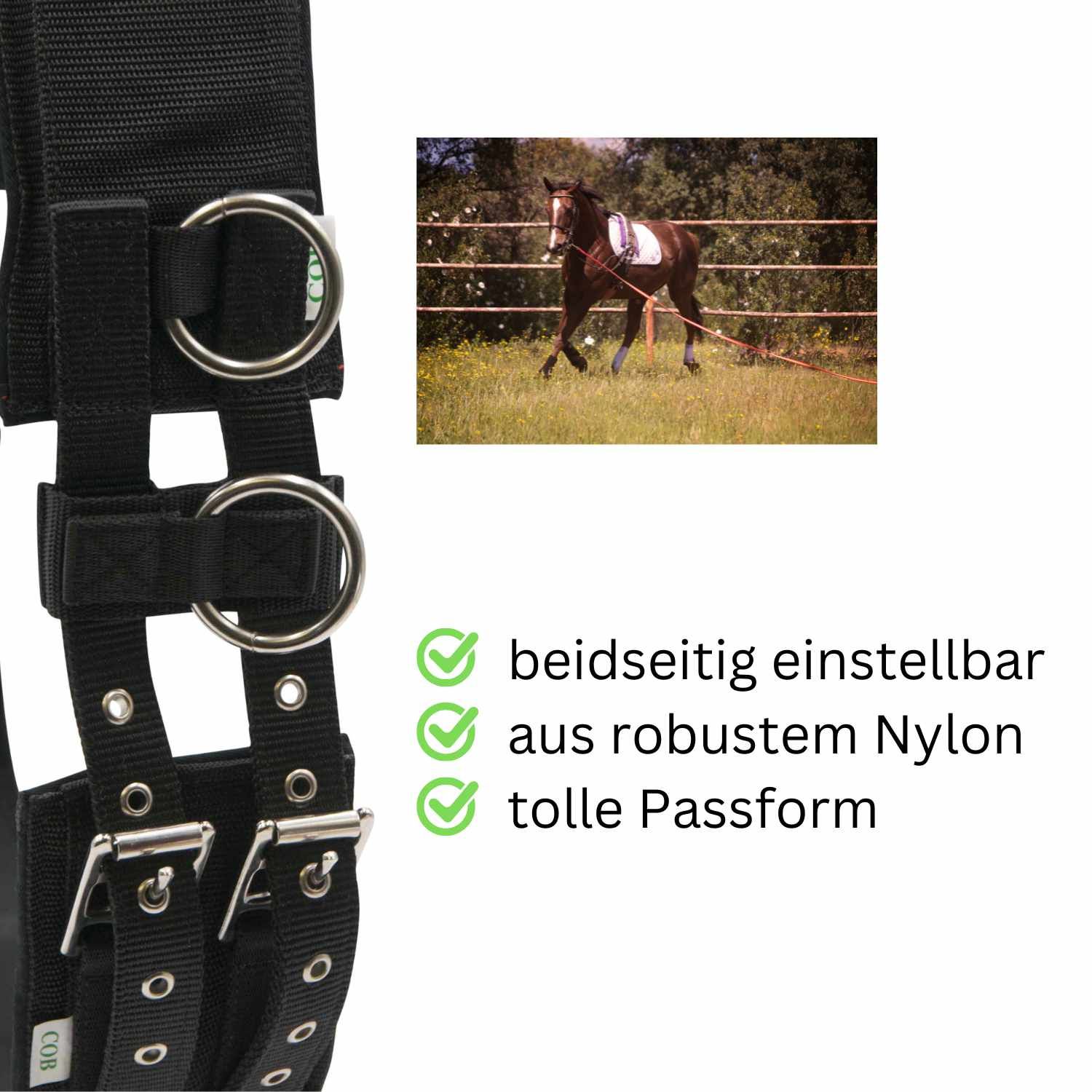 Schwarzer Longiergurt mit Ringen und Schnallen. Text: beidseitig einstellbar, aus robustem Nylon, tolle Passform.