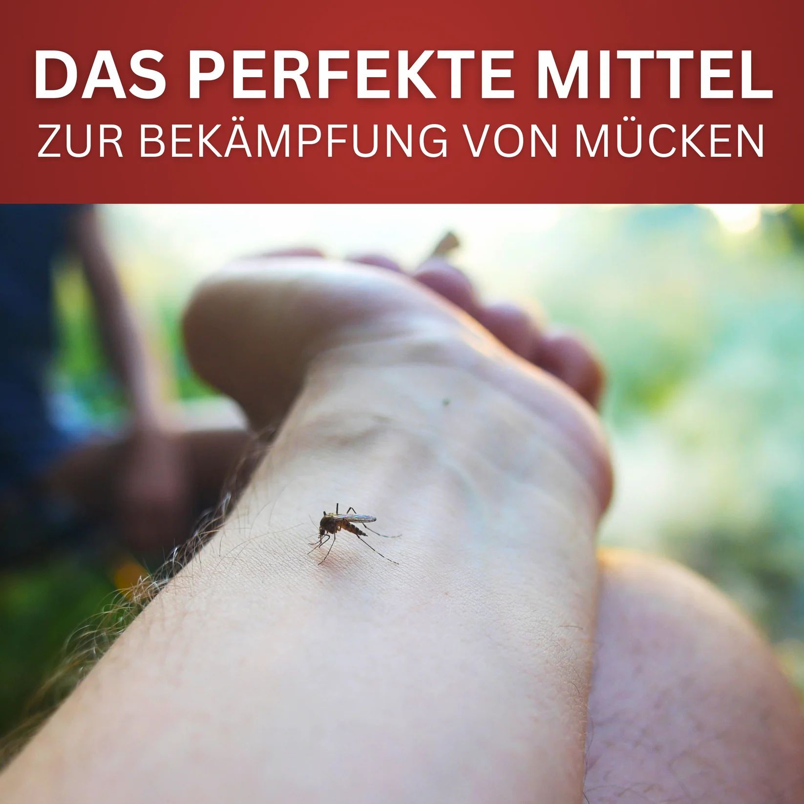Arm mit Mücke auf der Haut. Text: Das perfekte Mittel zur Bekämpfung von Mücken.