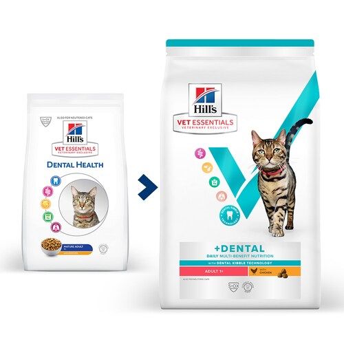 Zwei Beutel Trockennahrung. Links: Hill's Vet Essentials Dental Health. Rechts: Hill's Vet Essentials +Dental, Katze, Text.