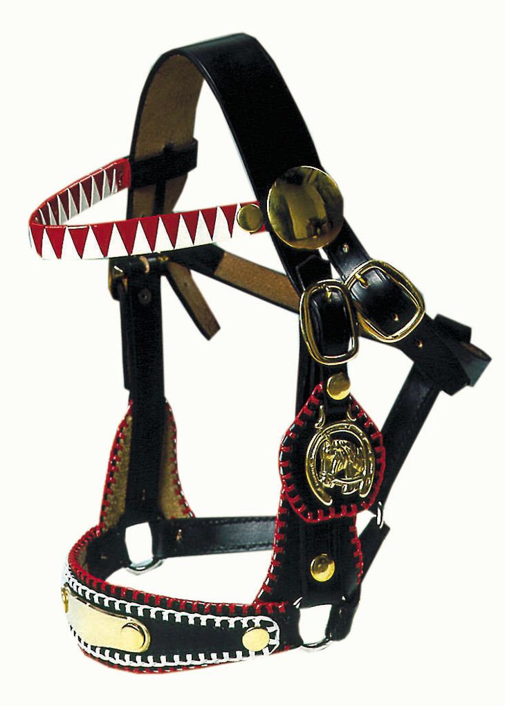 Schwarzes Zierhalfter mit roter und weißer Verzierung, Messingbeschlägen und goldenen Details.