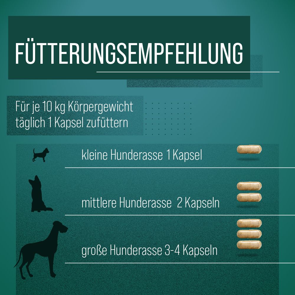 Fütterungsempfehlung. Text: Für je 10 kg Körpergewicht täglich 1 Kapsel. Abbildungen von Hunden und Kapseln.