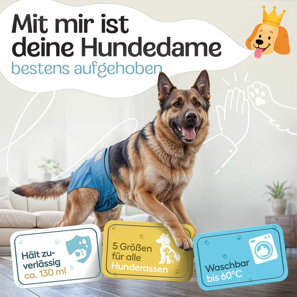 Hündin mit blauer Windel. Text: Hält zuverl. ca. 130 ml, 5 Größen für alle Hunderassen, Waschbar bis 60°C. Hintergrund: Wohnzimmer.